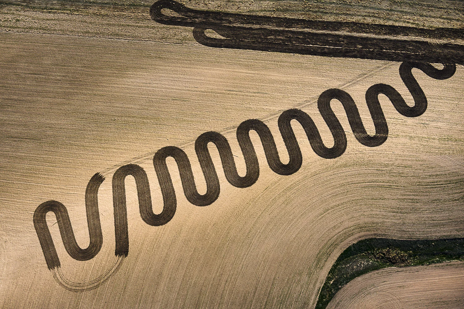 Farmer Palette, Yuma, CO, 2014