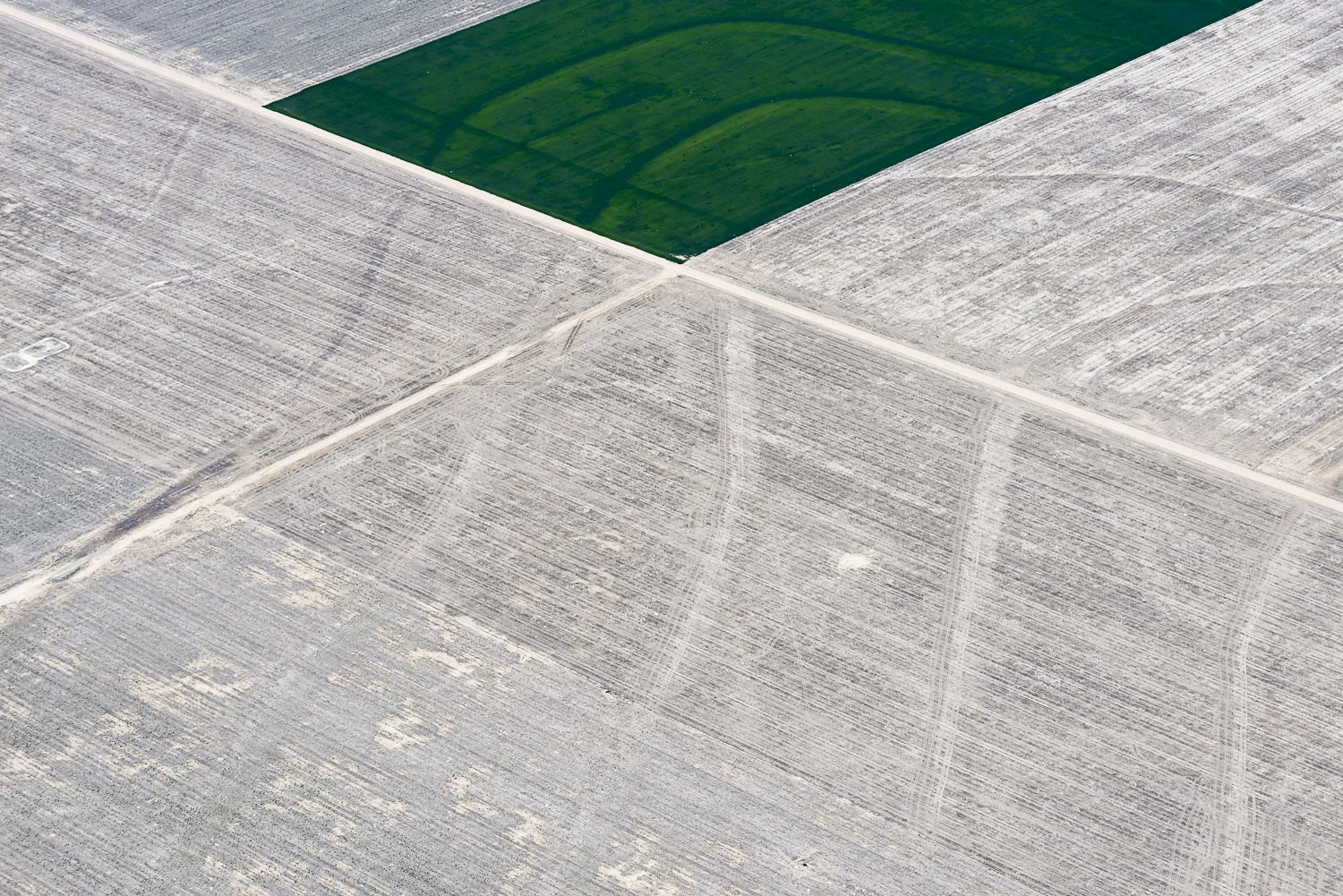 May 28, 2014 (Fallow Fields, Fort Morgan, CO)