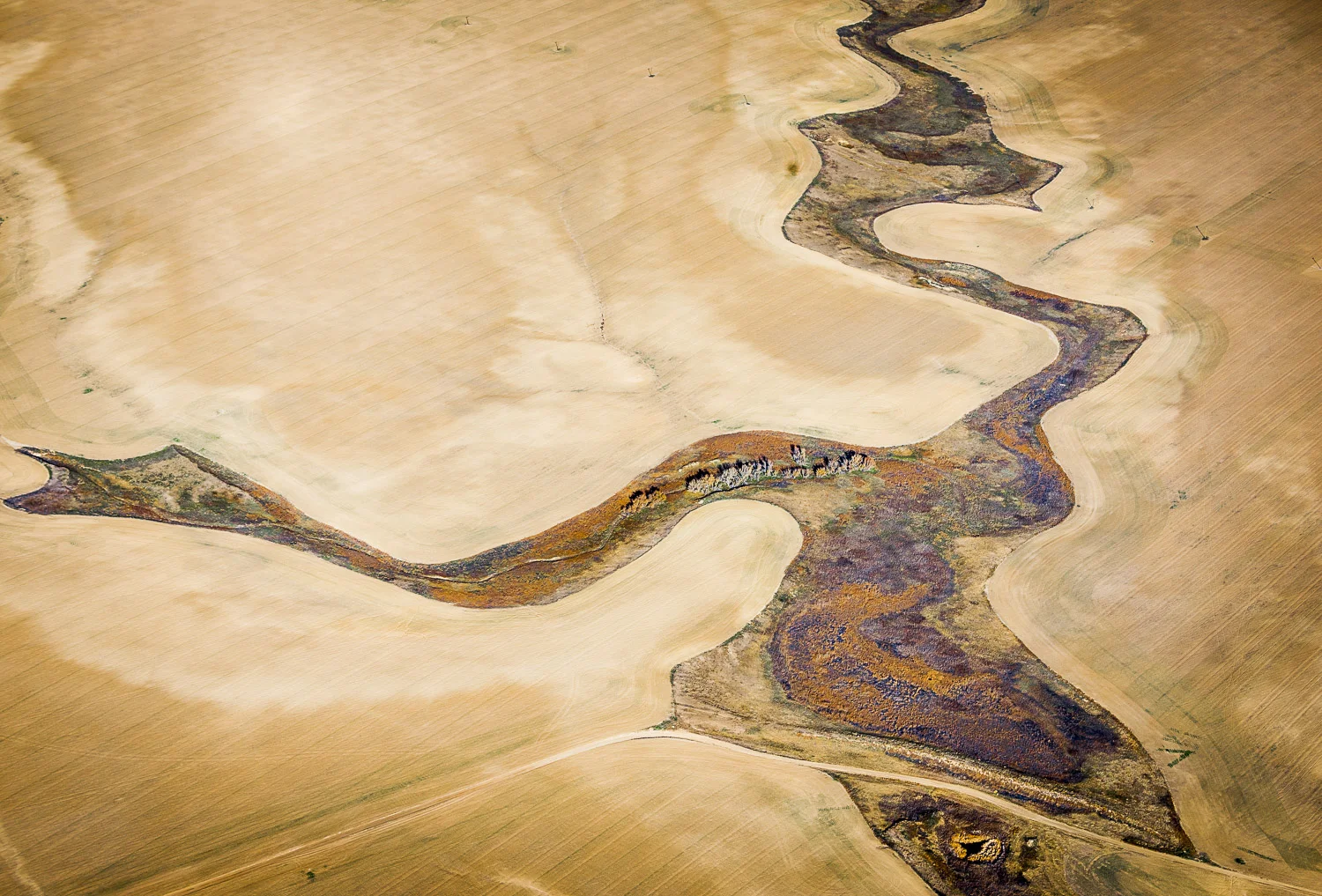 Cultivation Boundaries, High Plains, CO, 2013