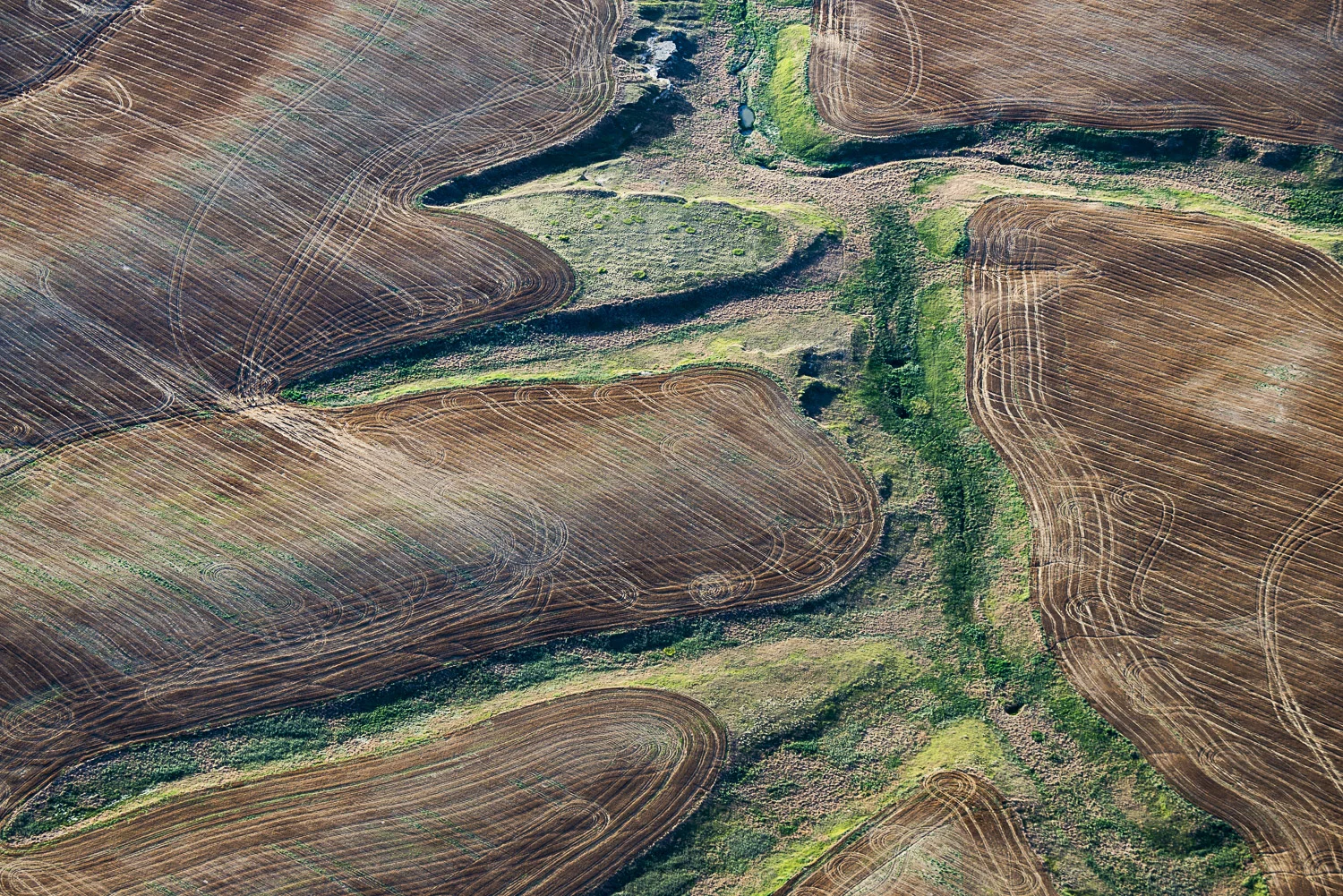 7/29/15 #1 (Creek Bottom, Byers, CO)