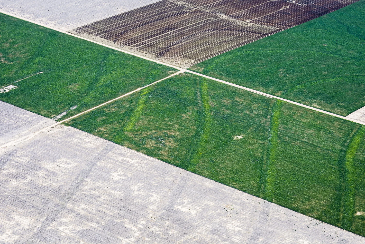August 18, 2014 (Fallow Fields, Fort Morgan, CO)