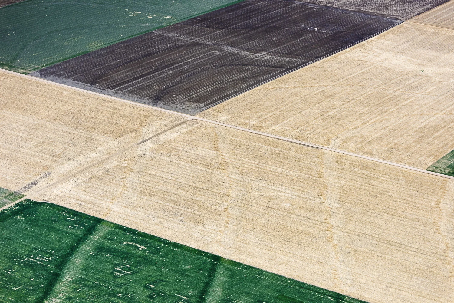 November 7, 2014 (Fallow Fields, Fort Morgan, CO)