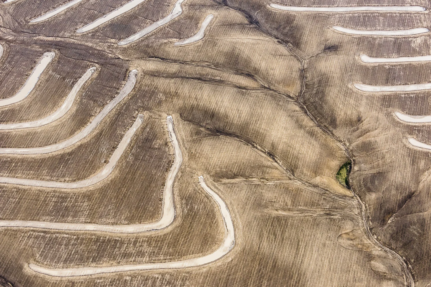 August 27, 2014 (Standing Water, Fort Morgan, CO)