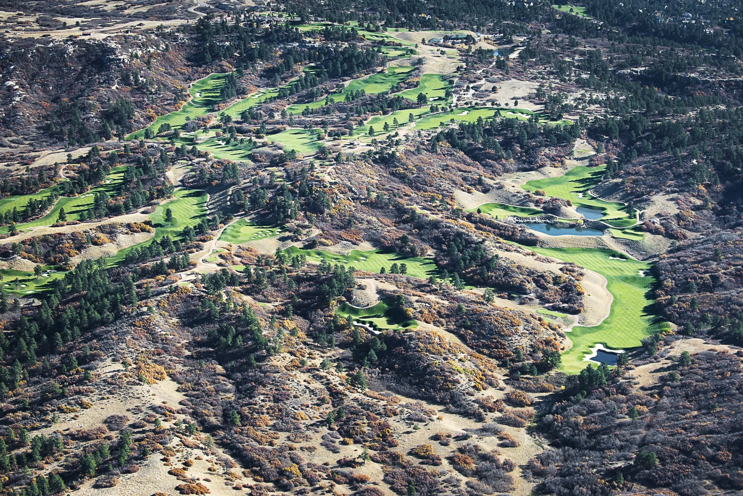 Improved Paradise, Castle Pines, CO, 2015