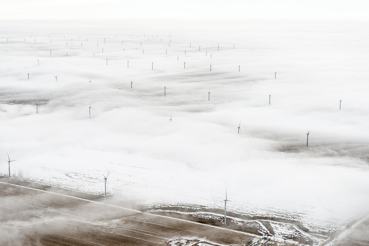 Standing Tall, Limon, CO, 2016