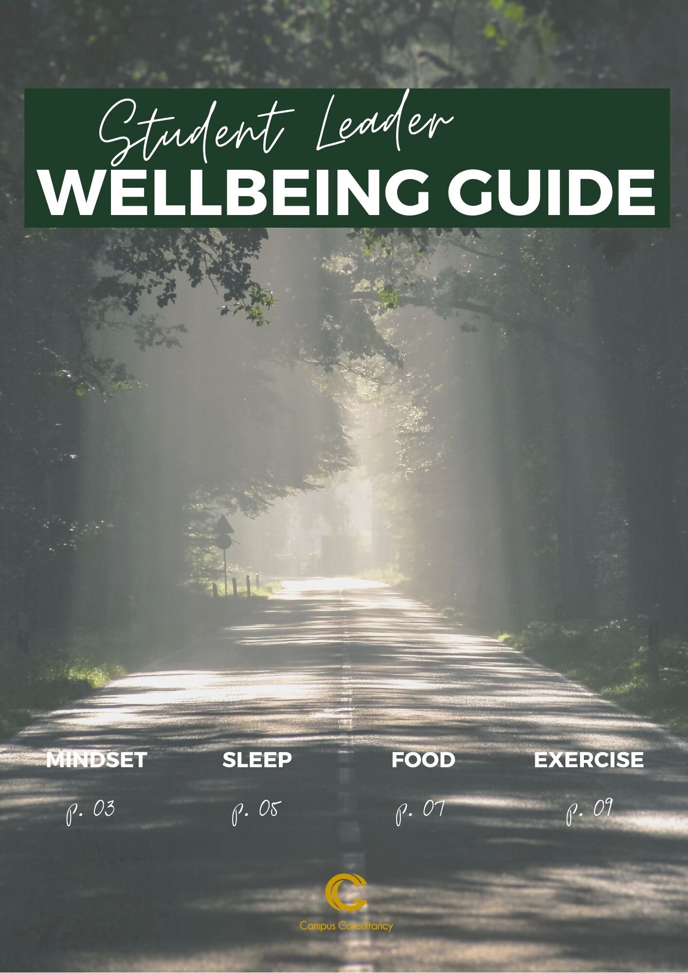 Student Leader Wellness Guide.jpg