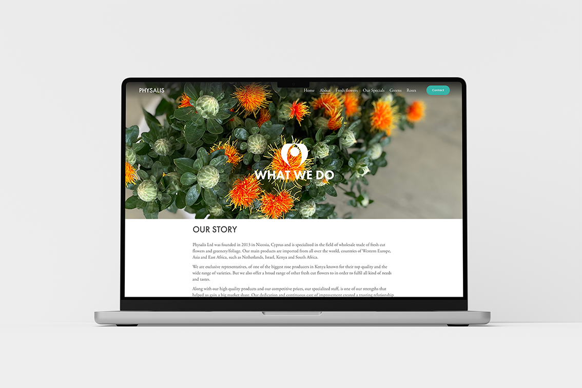 Physalis website mock2 low.png