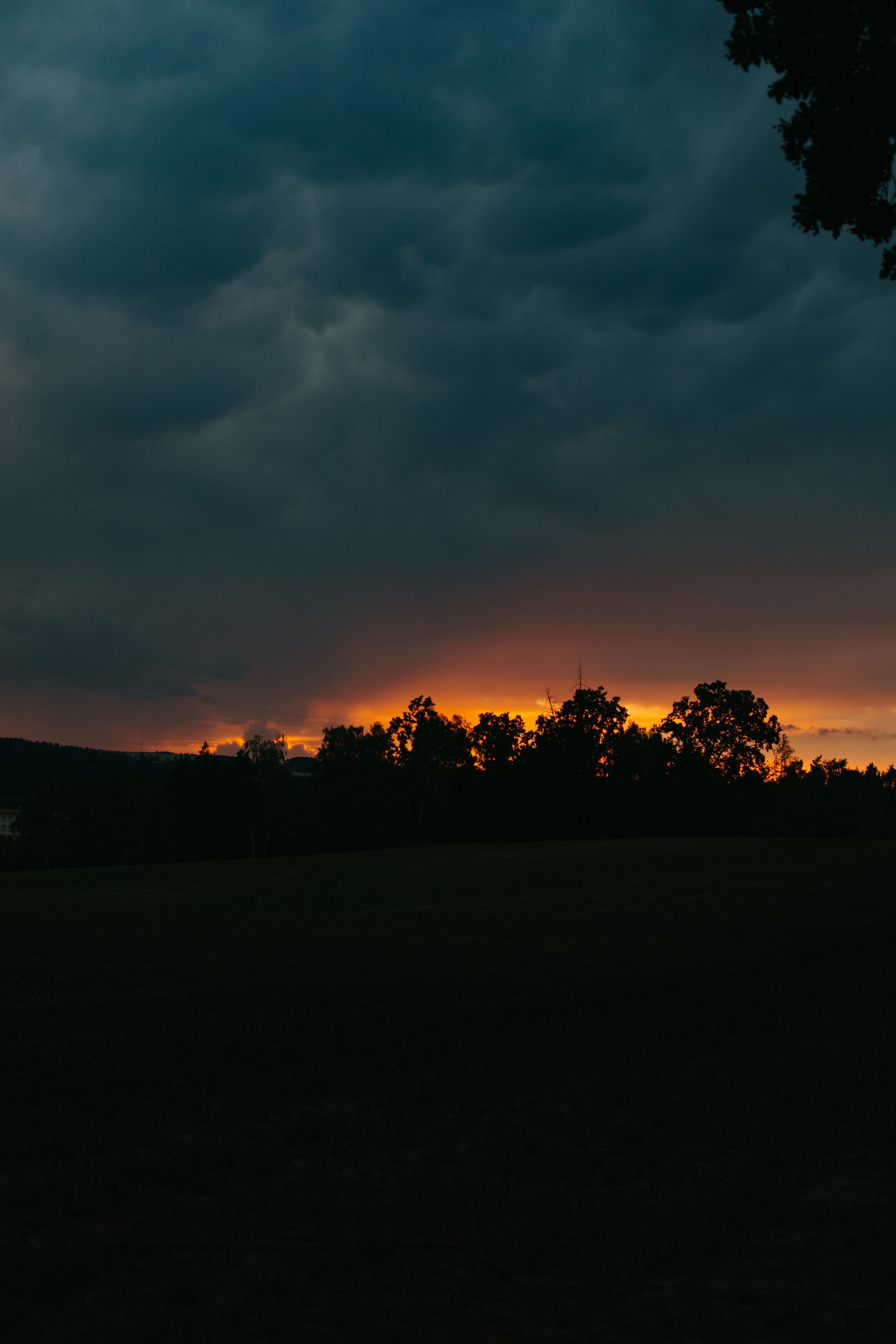8P9A5102.JPG