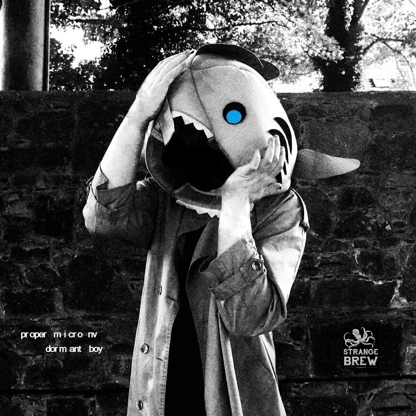 DORMANT BOY by Proper Micro NV