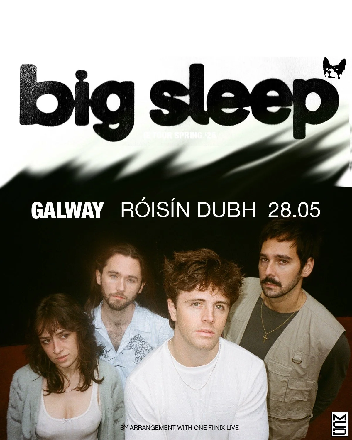 Big Sleep Galway.jpeg