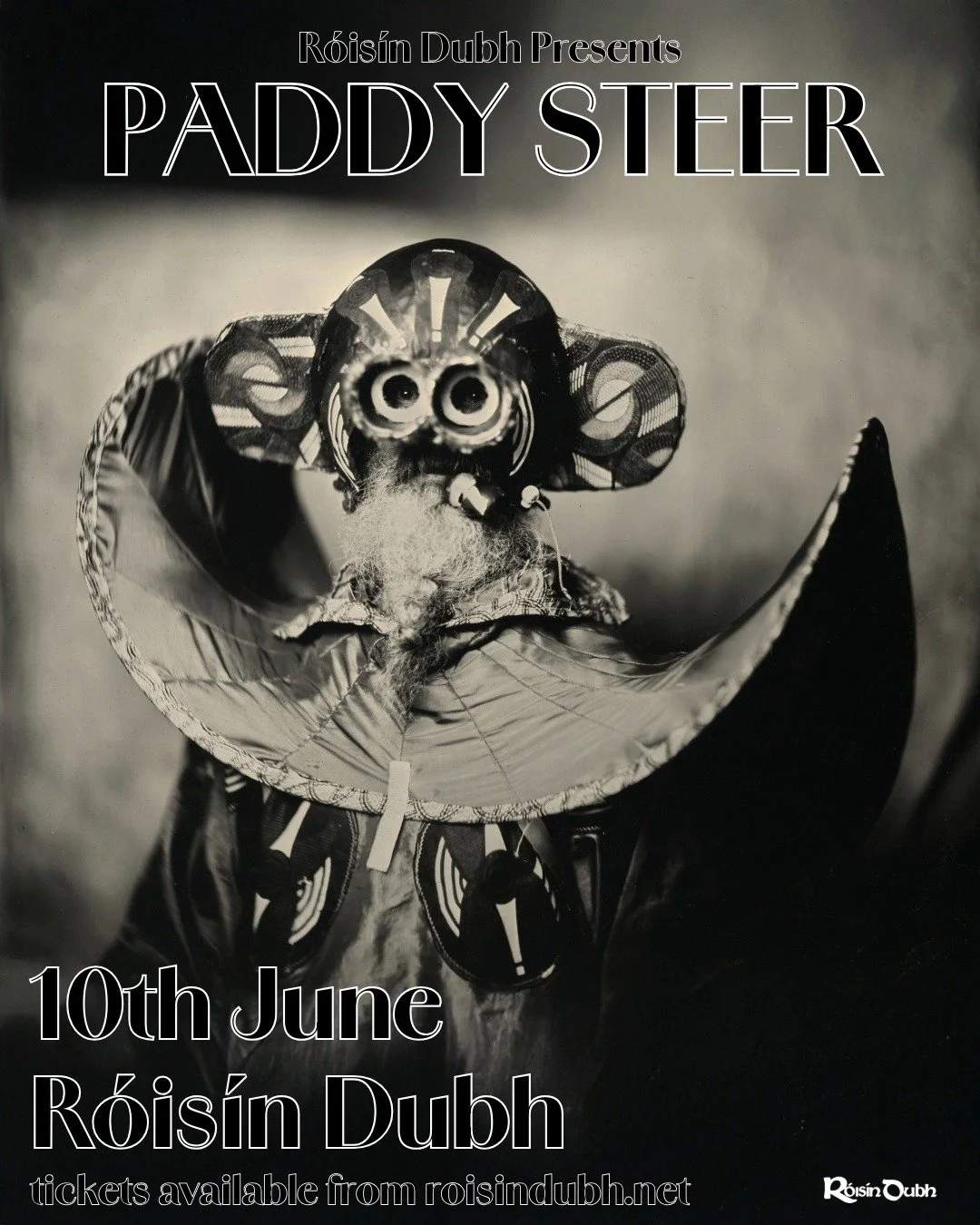 Paddy Steer 4x5.jpeg