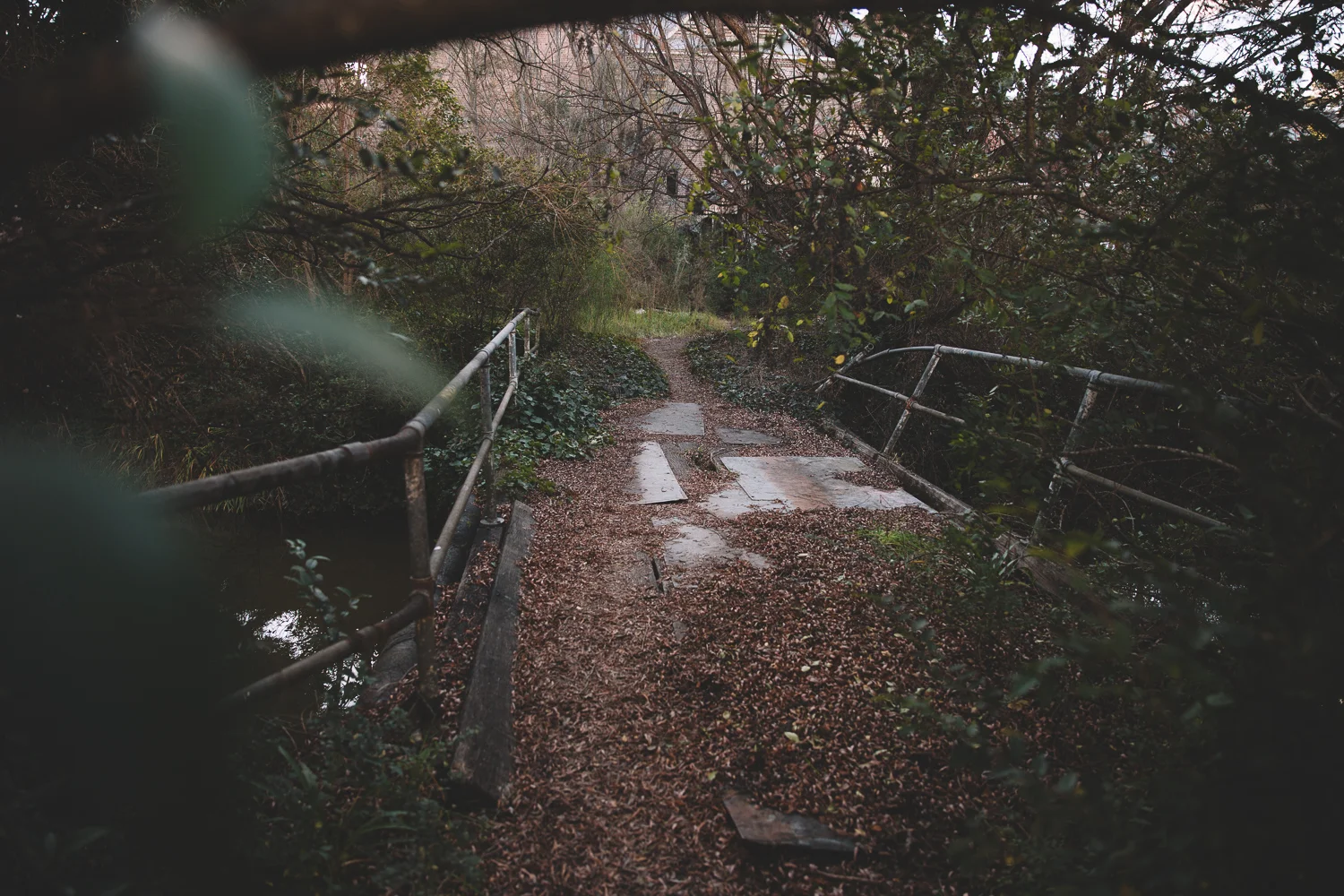 Myles Cooley-4.jpg
