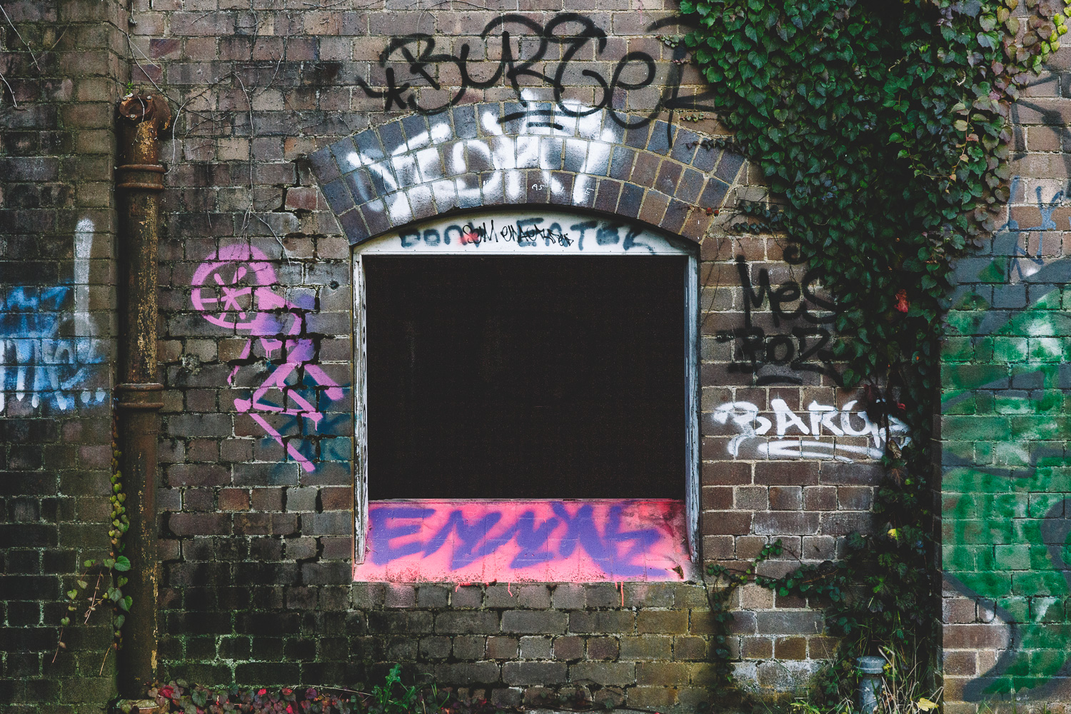 Myles Cooley-18.jpg