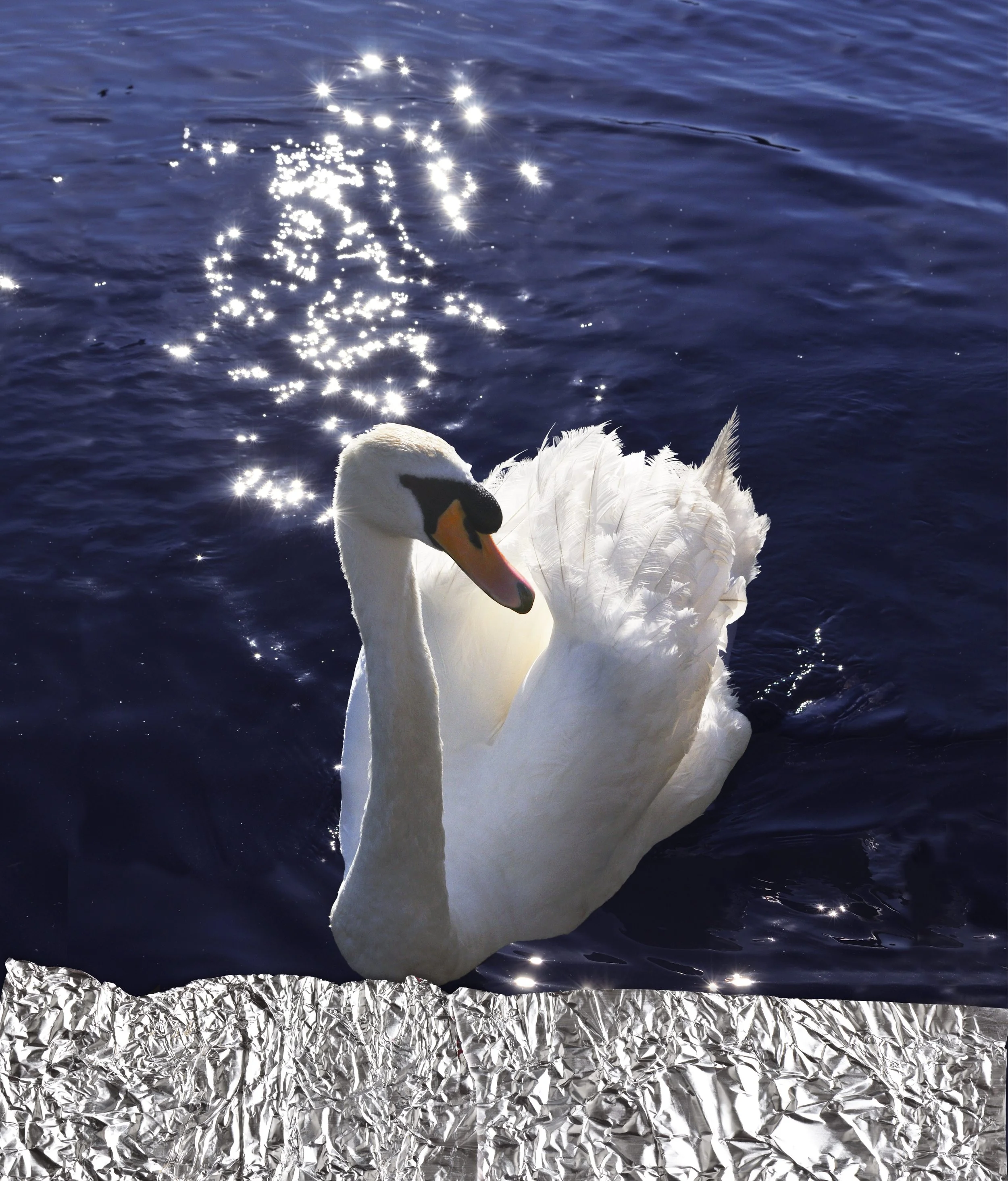 Swan + Foil (2023) by Antoni + Alison