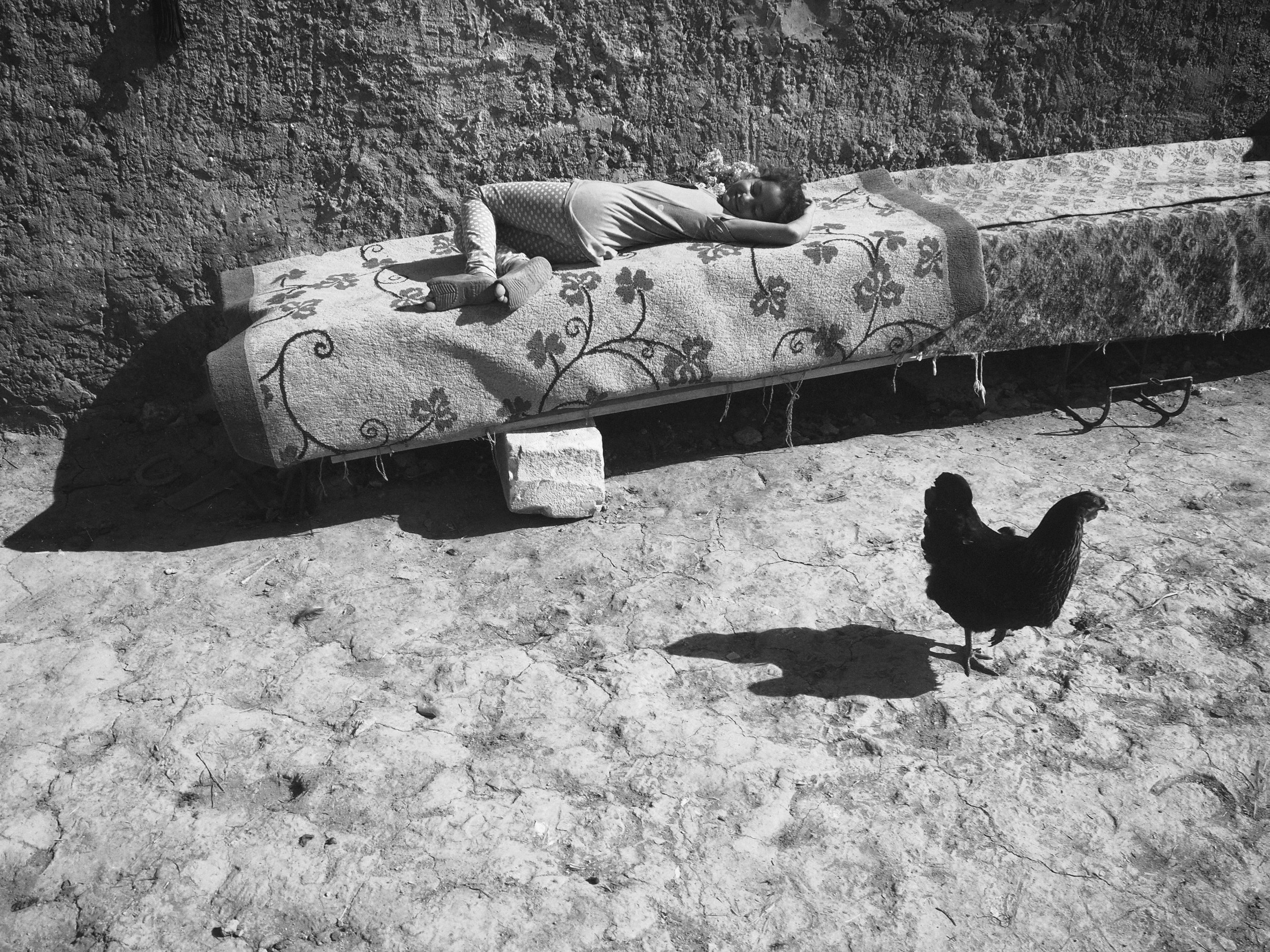 Afternoon Sleep, Dobrogea