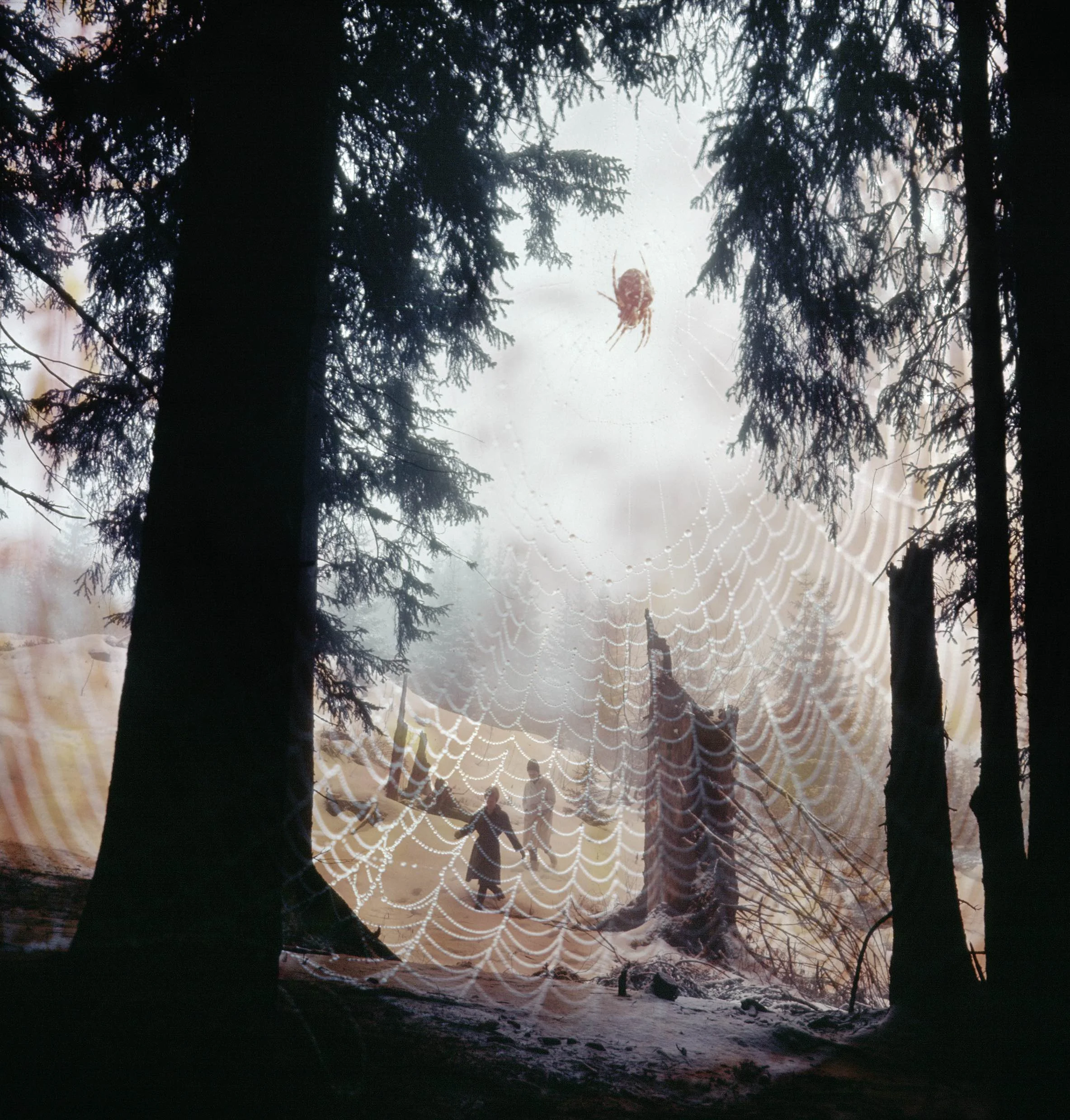 Megéve, February 1964