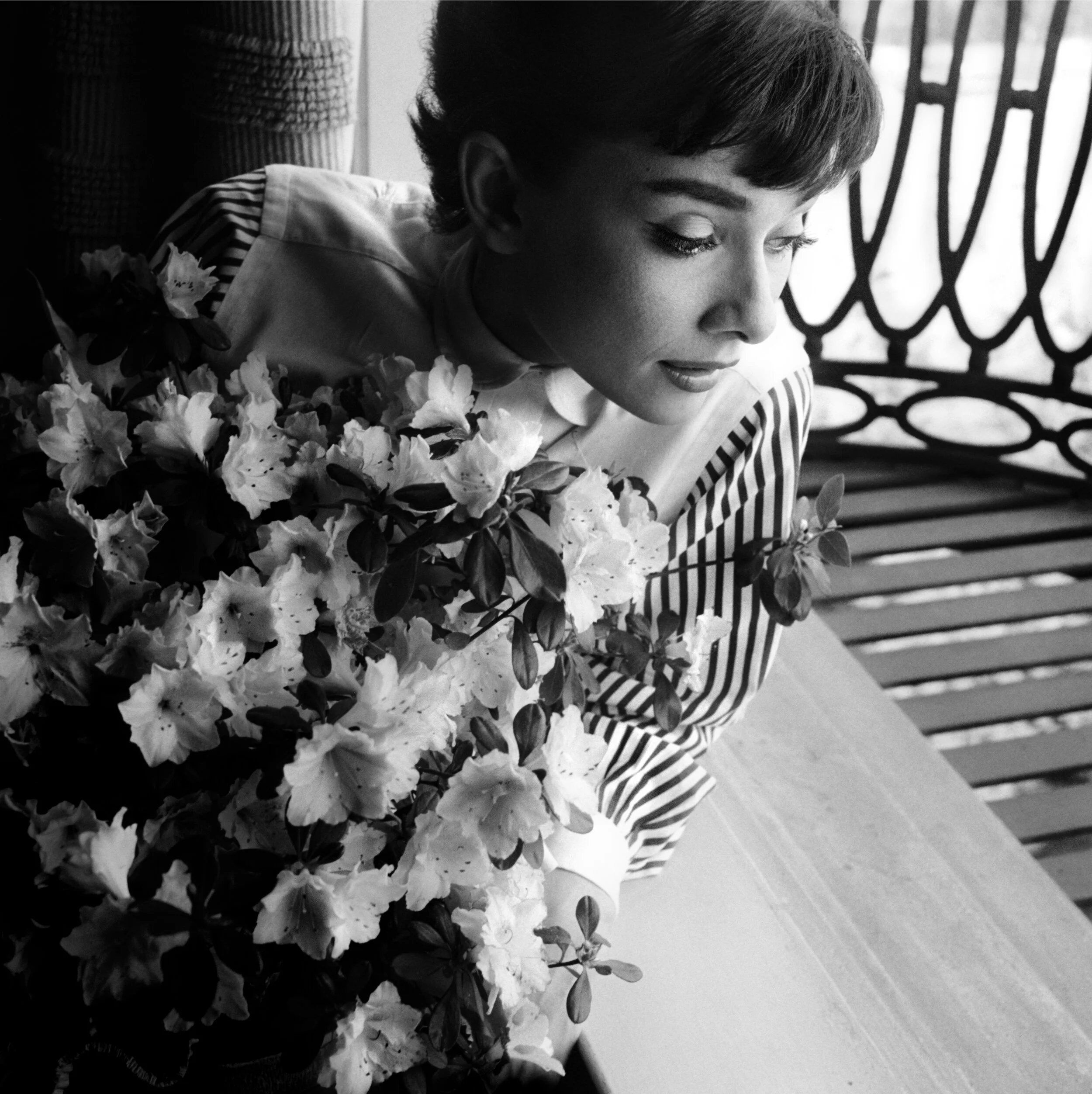 Audrey Hepburn Paramount Studios 1953 by Bob Willoughby.jpg