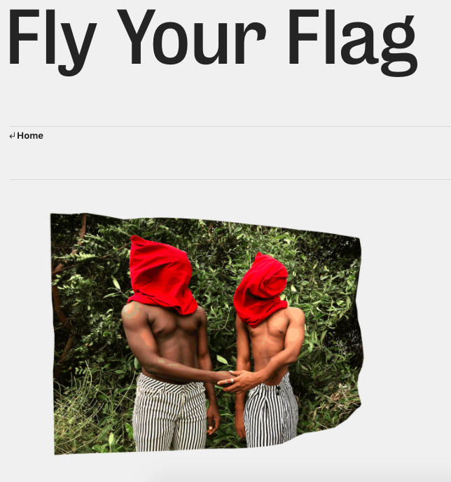 Fly Your Flag - Launch of a Creative Project