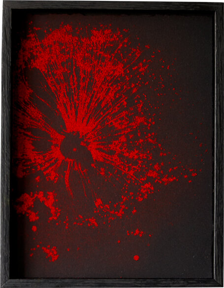 Red-Giant_white-background.jpg
