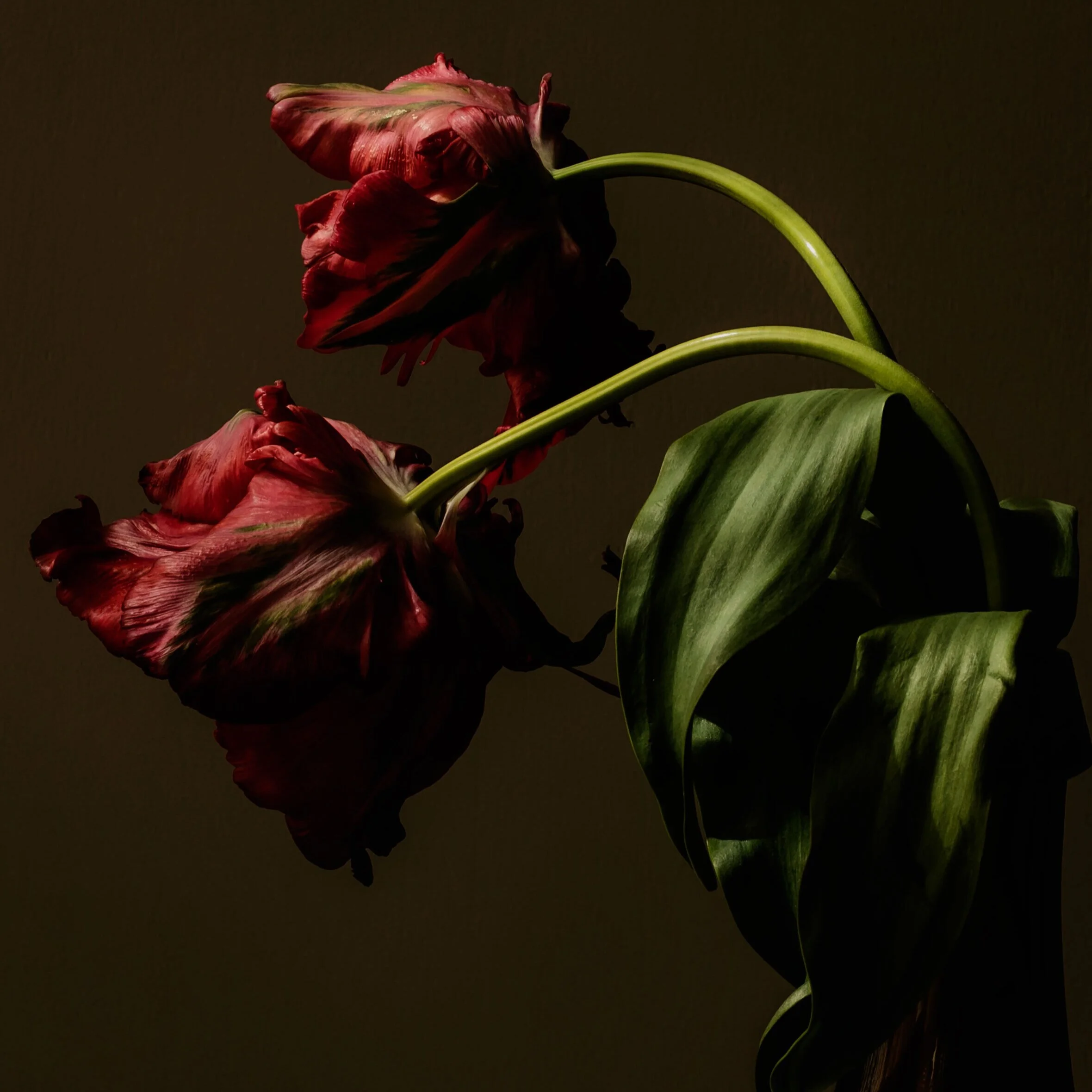 New at Elliott Gallery: Stella Gommans