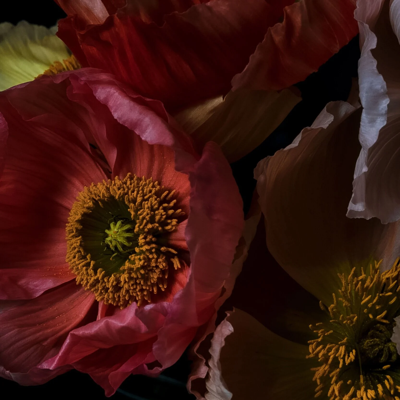 In Conversation With... Our New Artist Stella Gommans