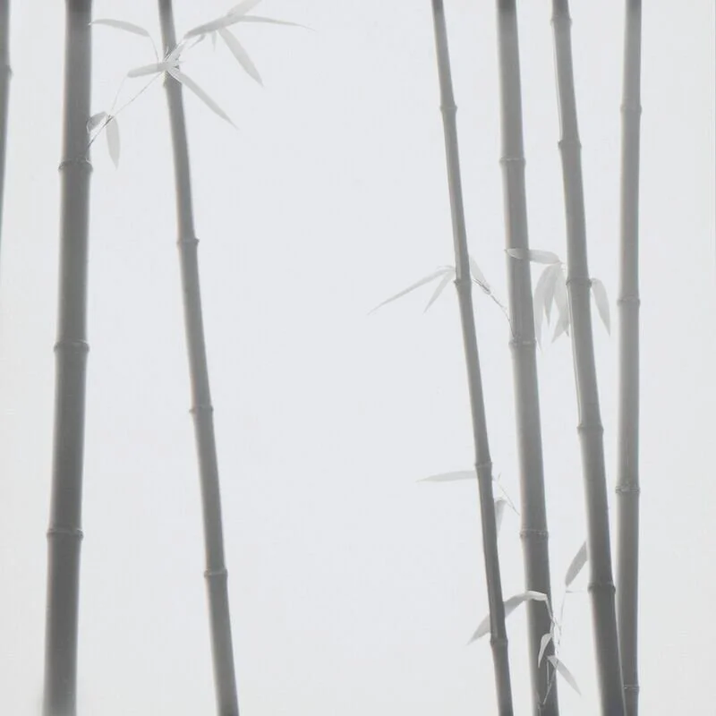 Bamboo Grey #2, 2019 by Choi Byung-Kwan (EG Collector's Print)