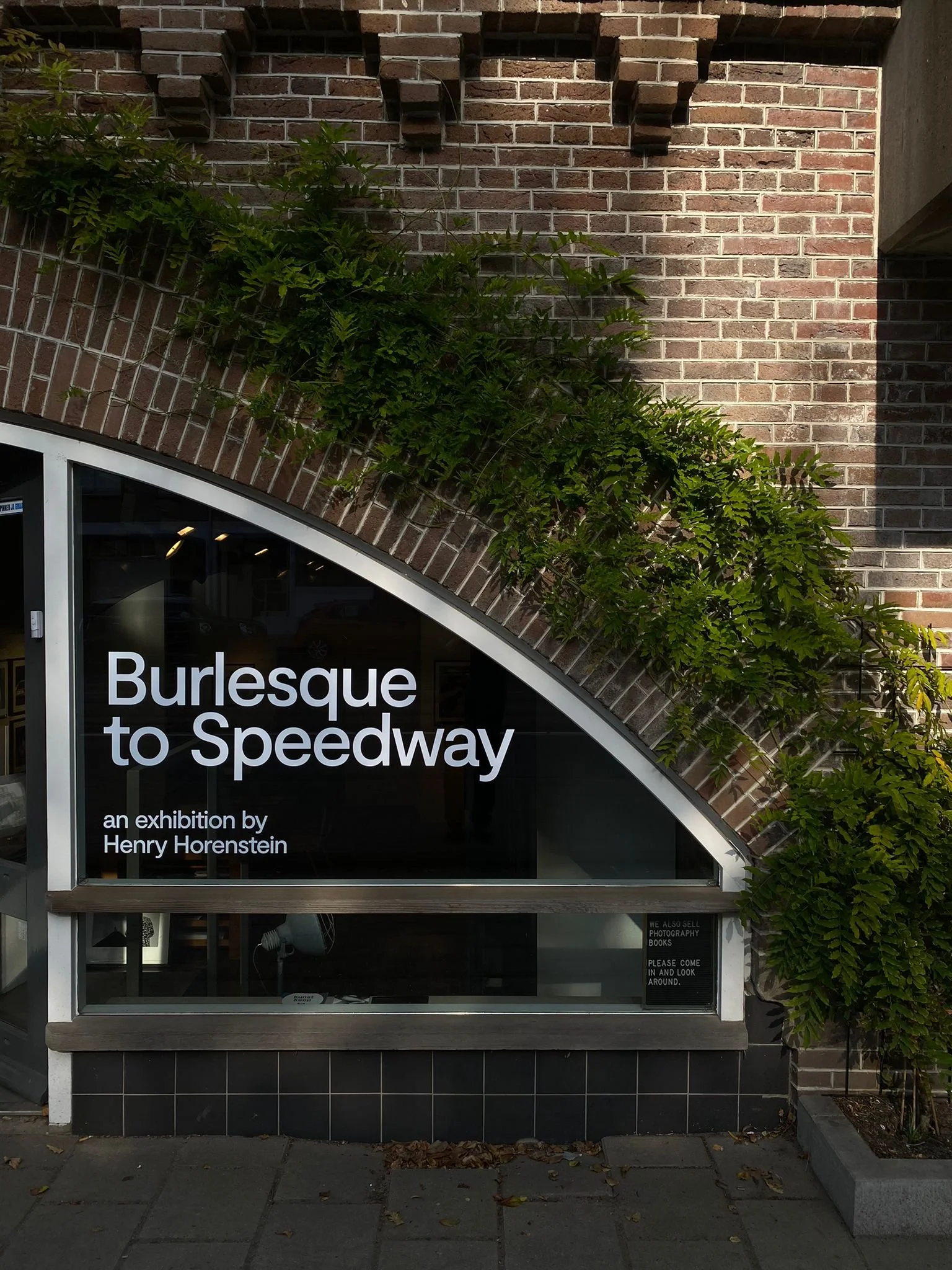 Henry Horenstein in Amsterdam