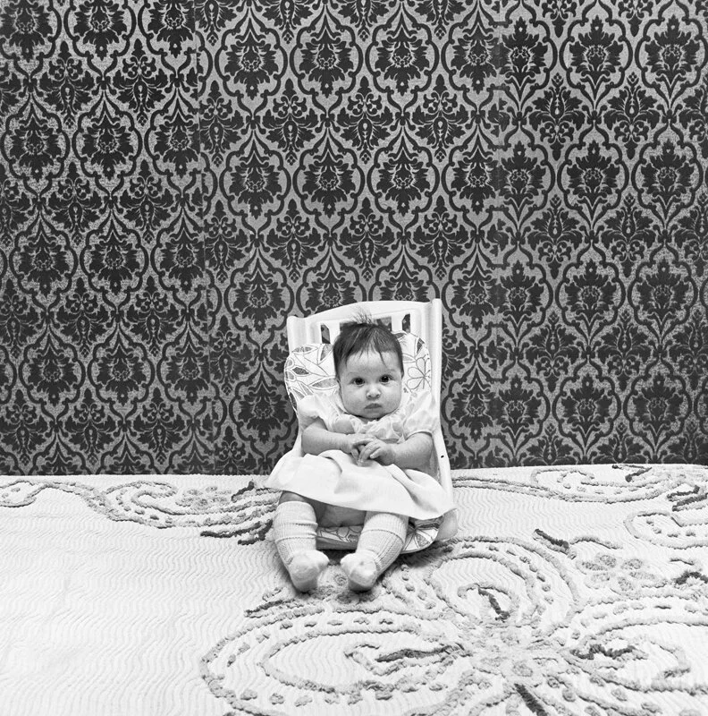 Henry Horenstein receives the 2023 Honored Educator Award by SPE