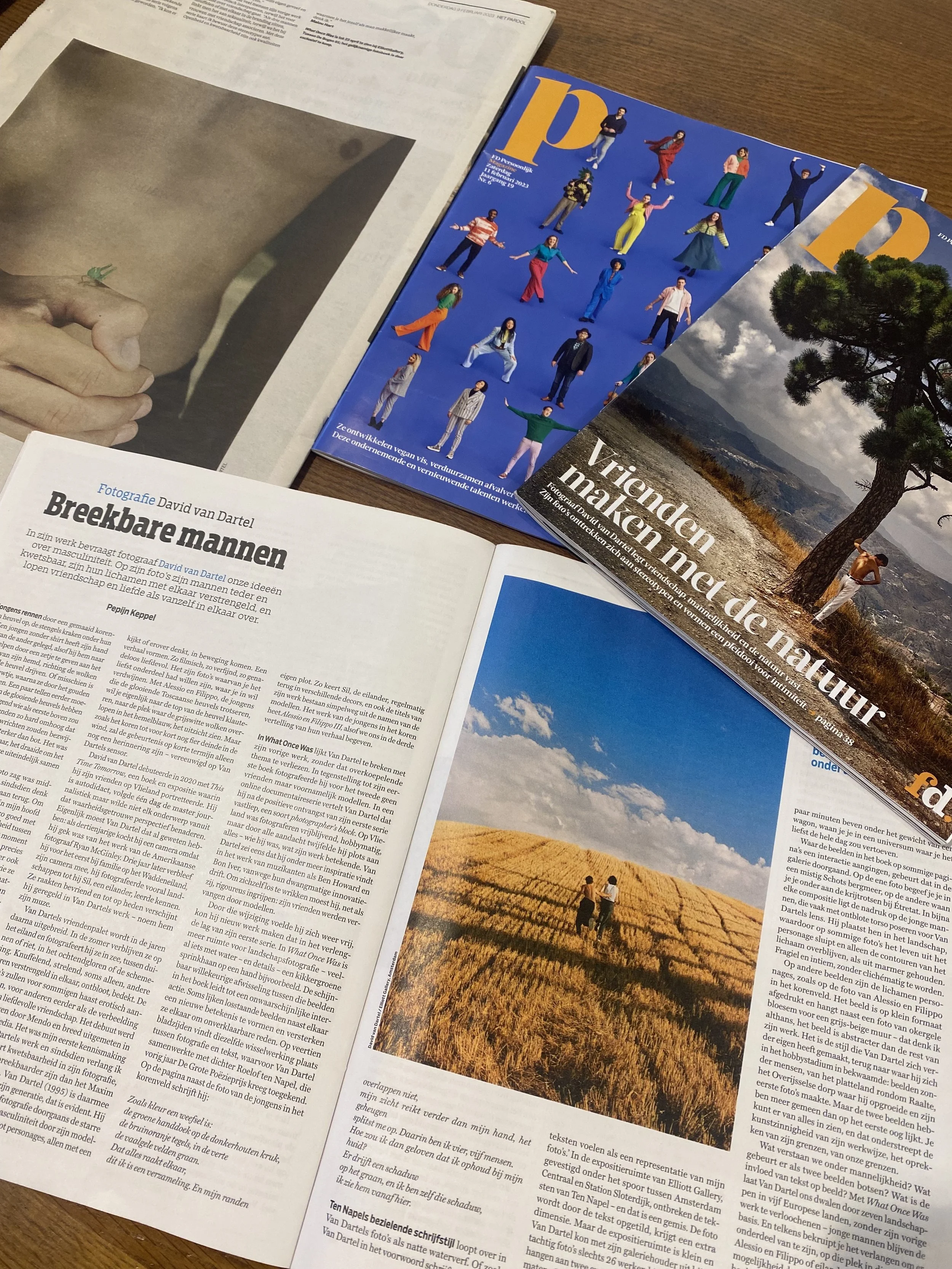 David van Dartel's new series in the Dutch Press