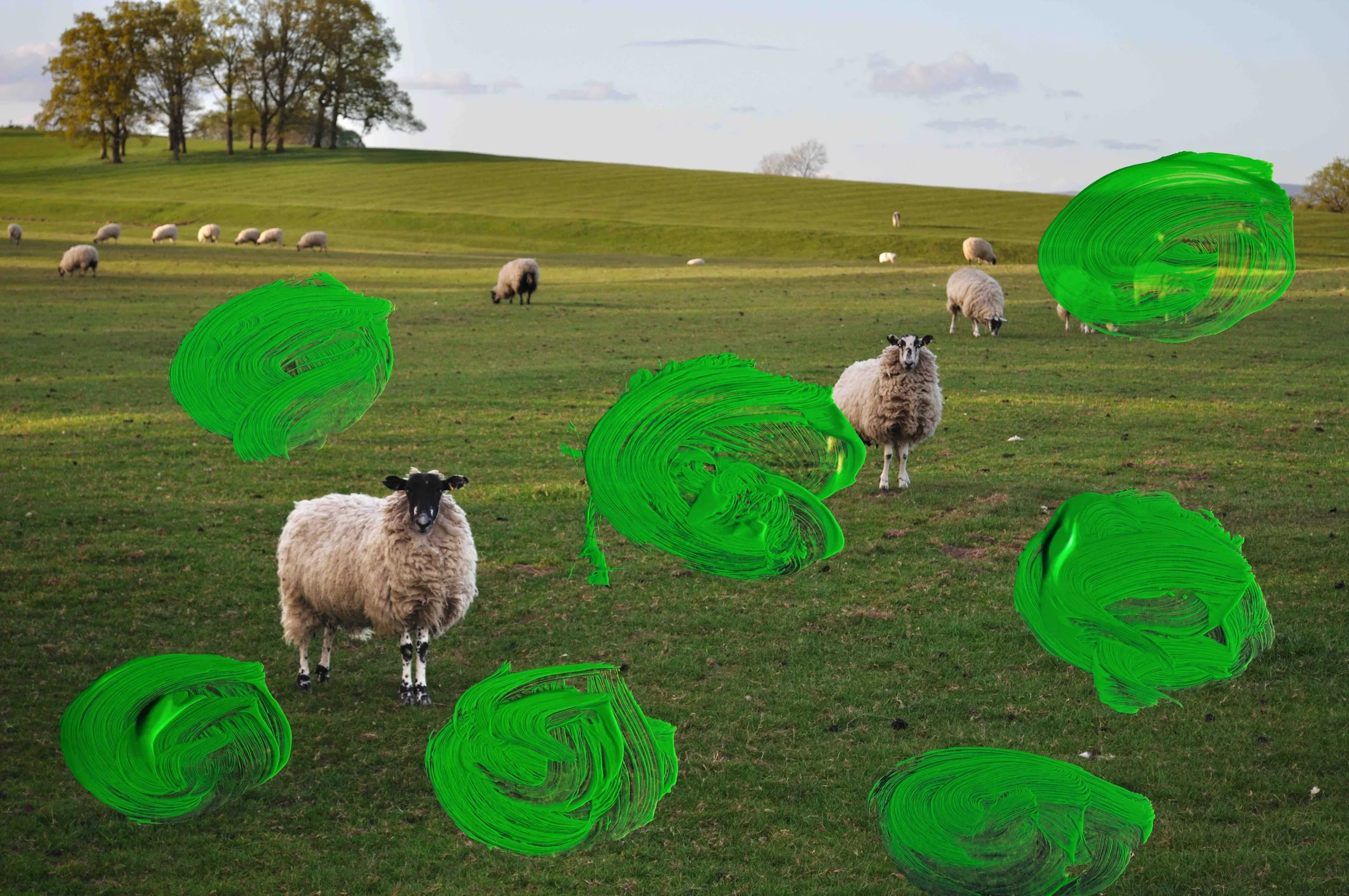 Green Painted Sheep, 2017 by Antoni+Alison (EG Collector’s print)