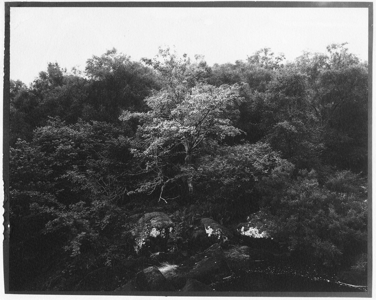 View from Waterfall at Arenig, 2019