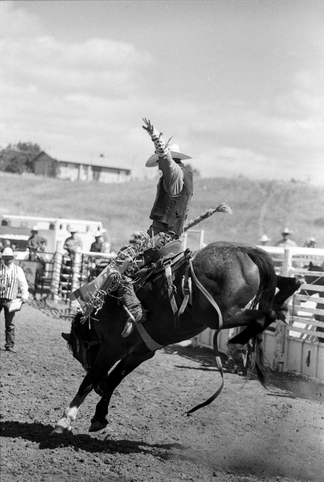Saddlebronc
