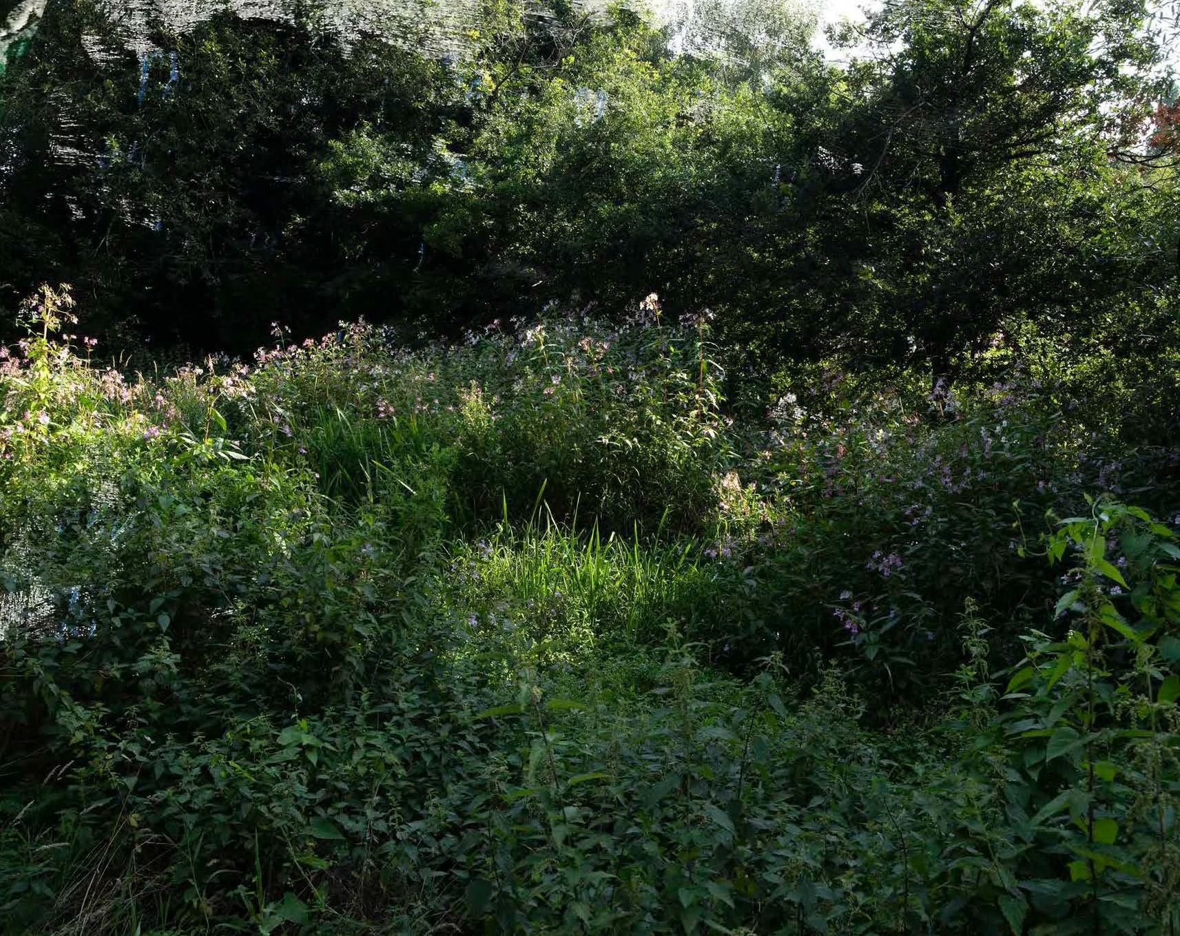 Matthew Murray Millstream Way 7.jpg