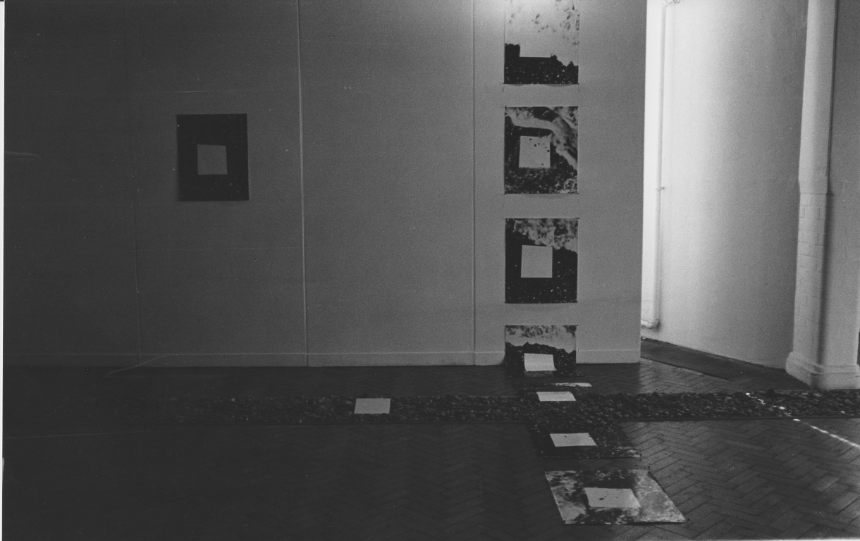 Sea of Light (Installation Shot)