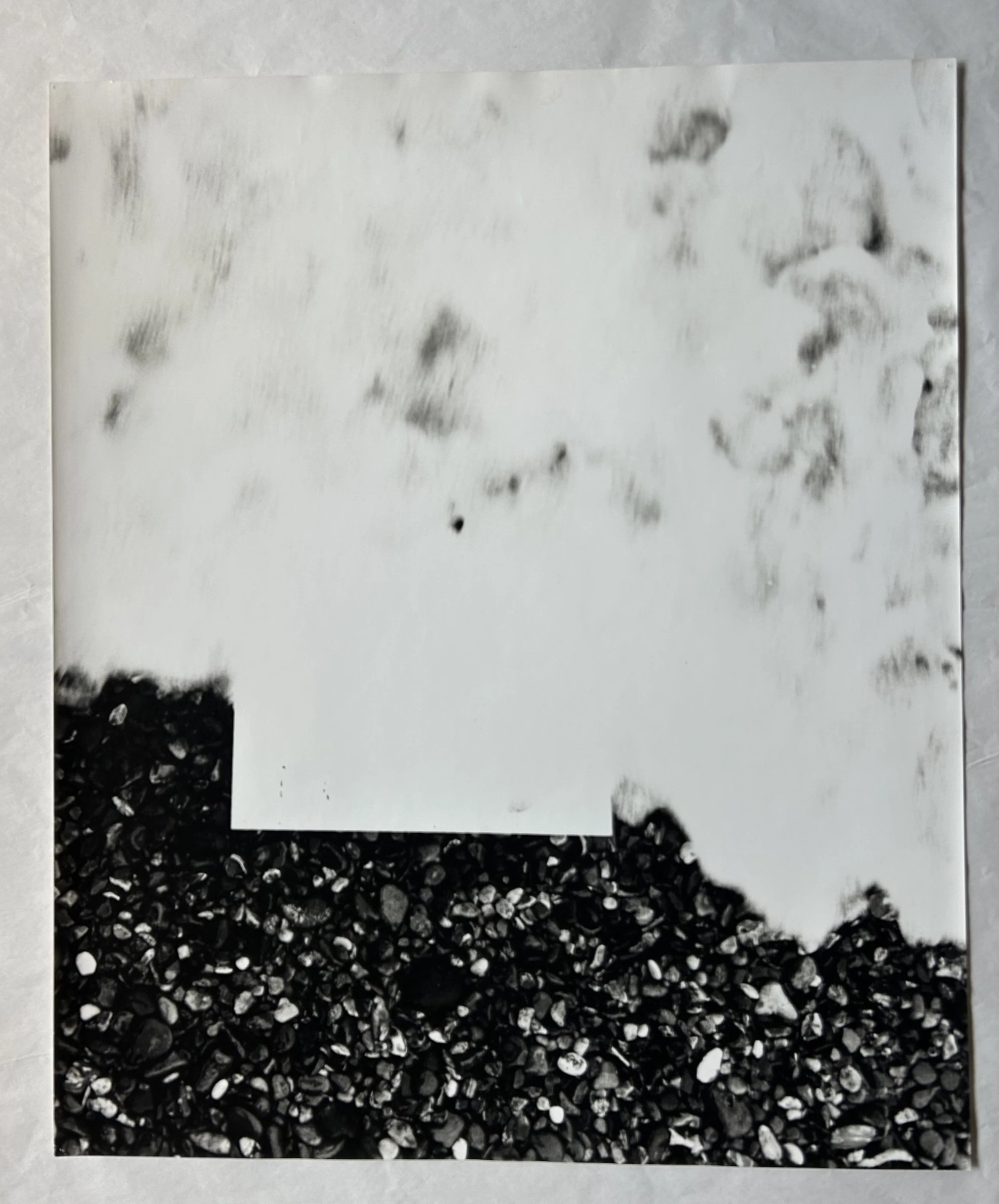 Large-Format Prints
