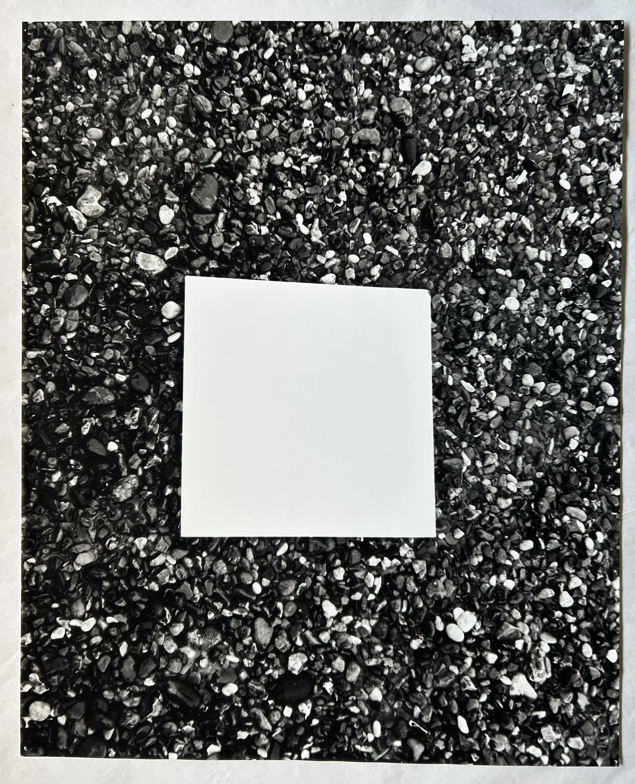 Large-Format Prints