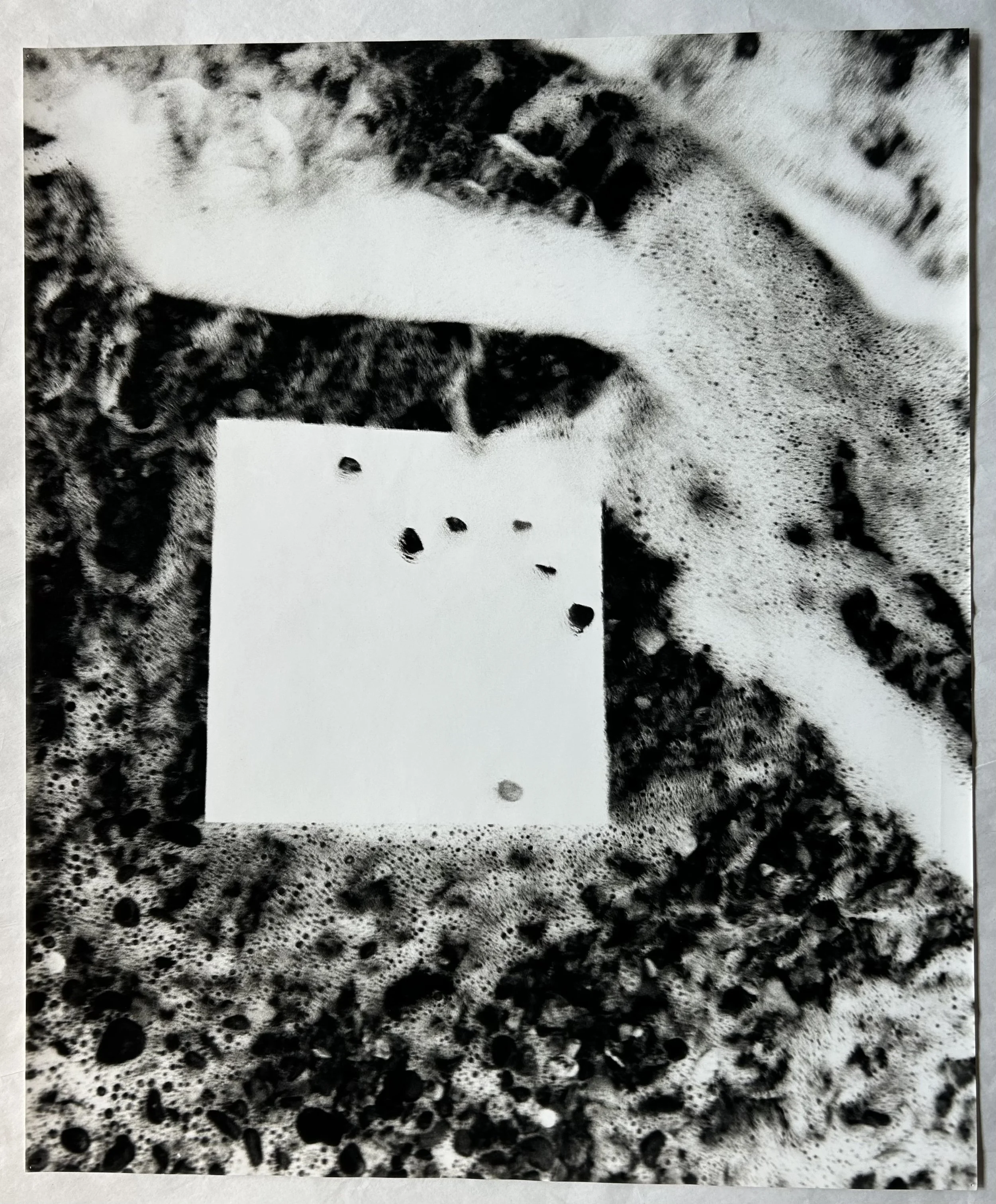 Large-Format Prints