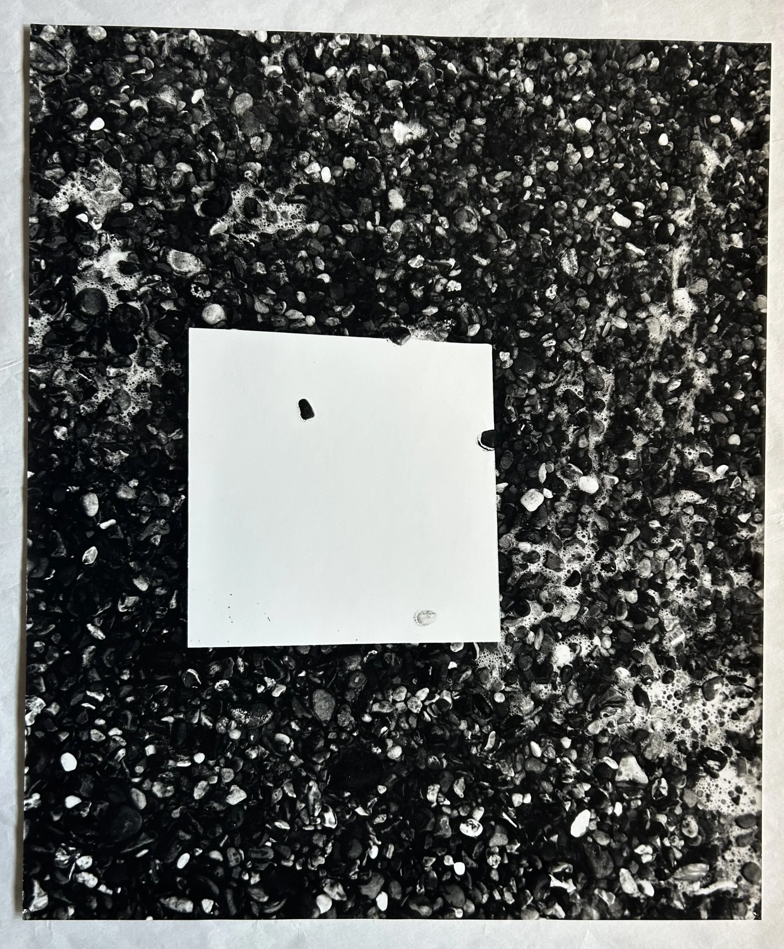 Large-Format Prints