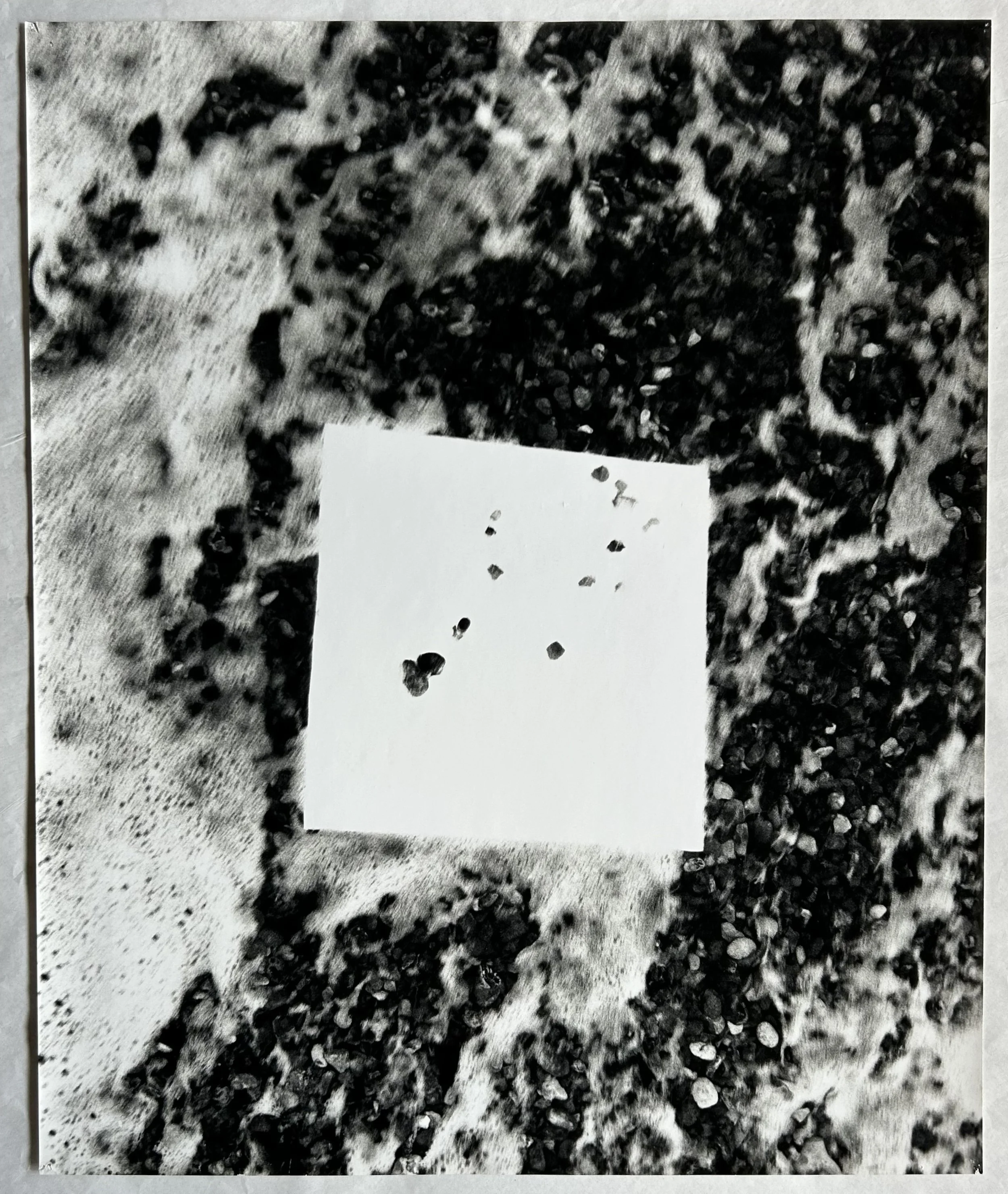 Large-Format Prints