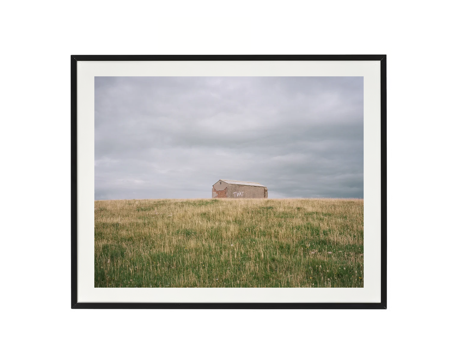 MS Twat shed Landscape Frame mockup.png