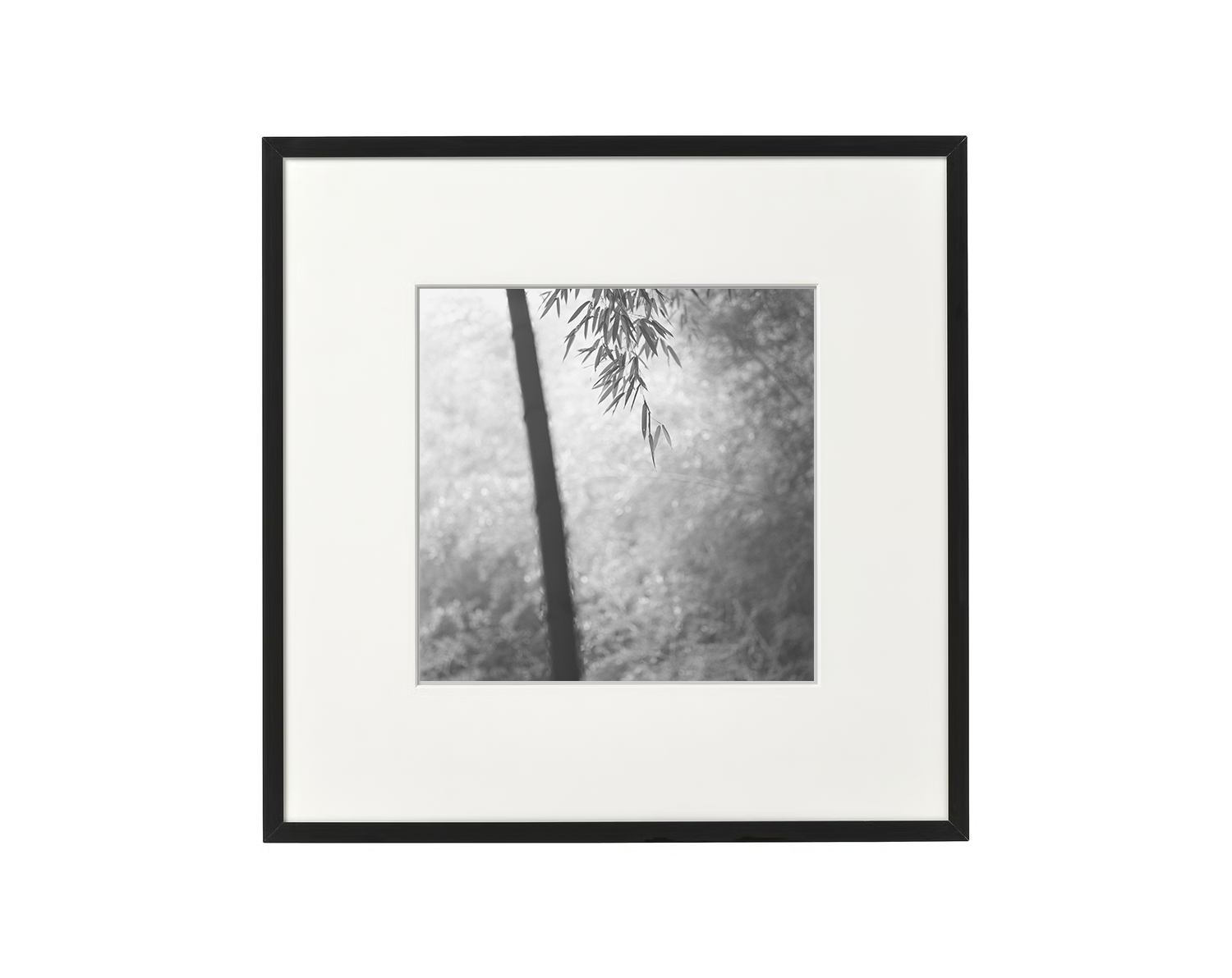 Choi framed bamboo.png