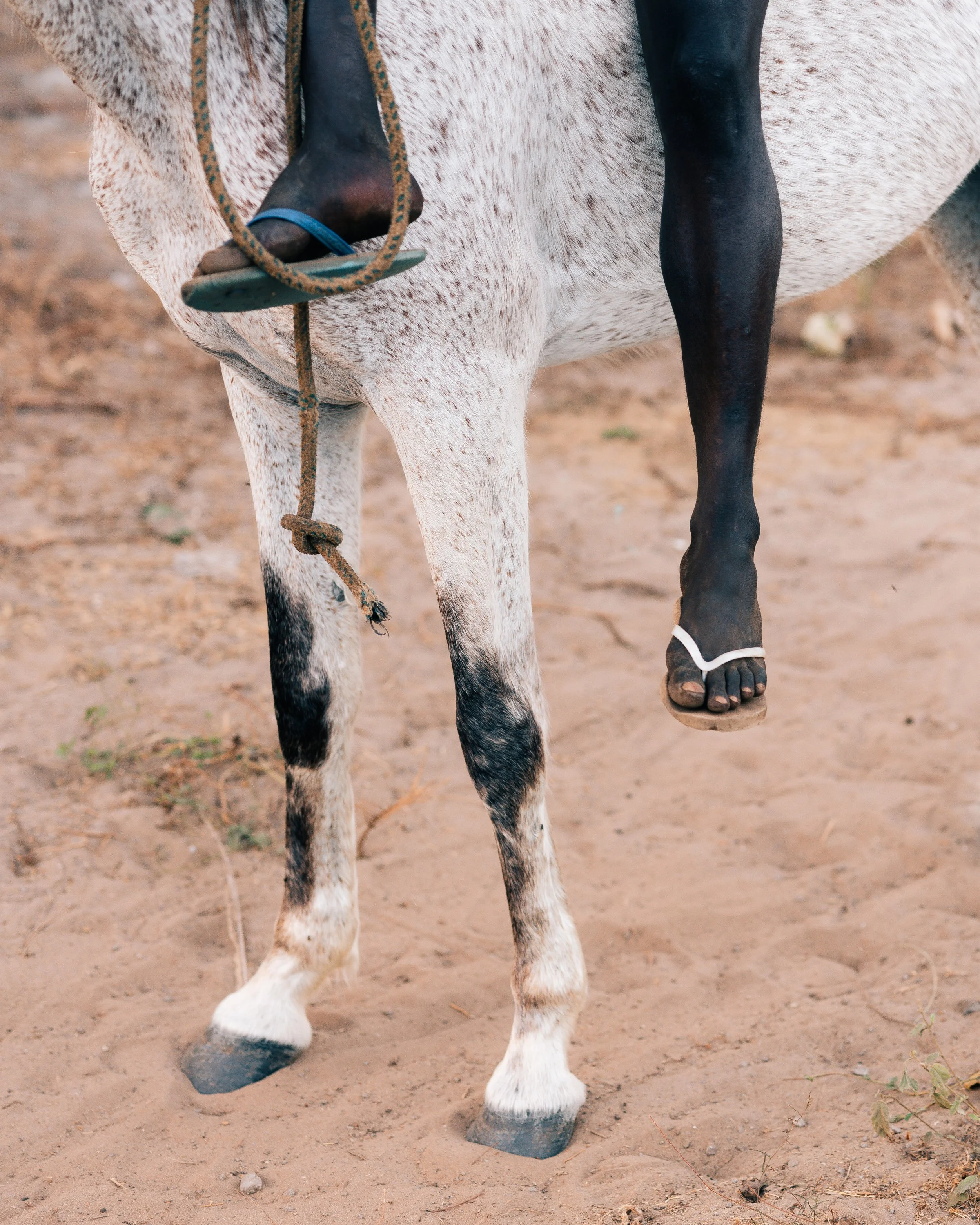 Blue and White by Lieke Zweekhorst