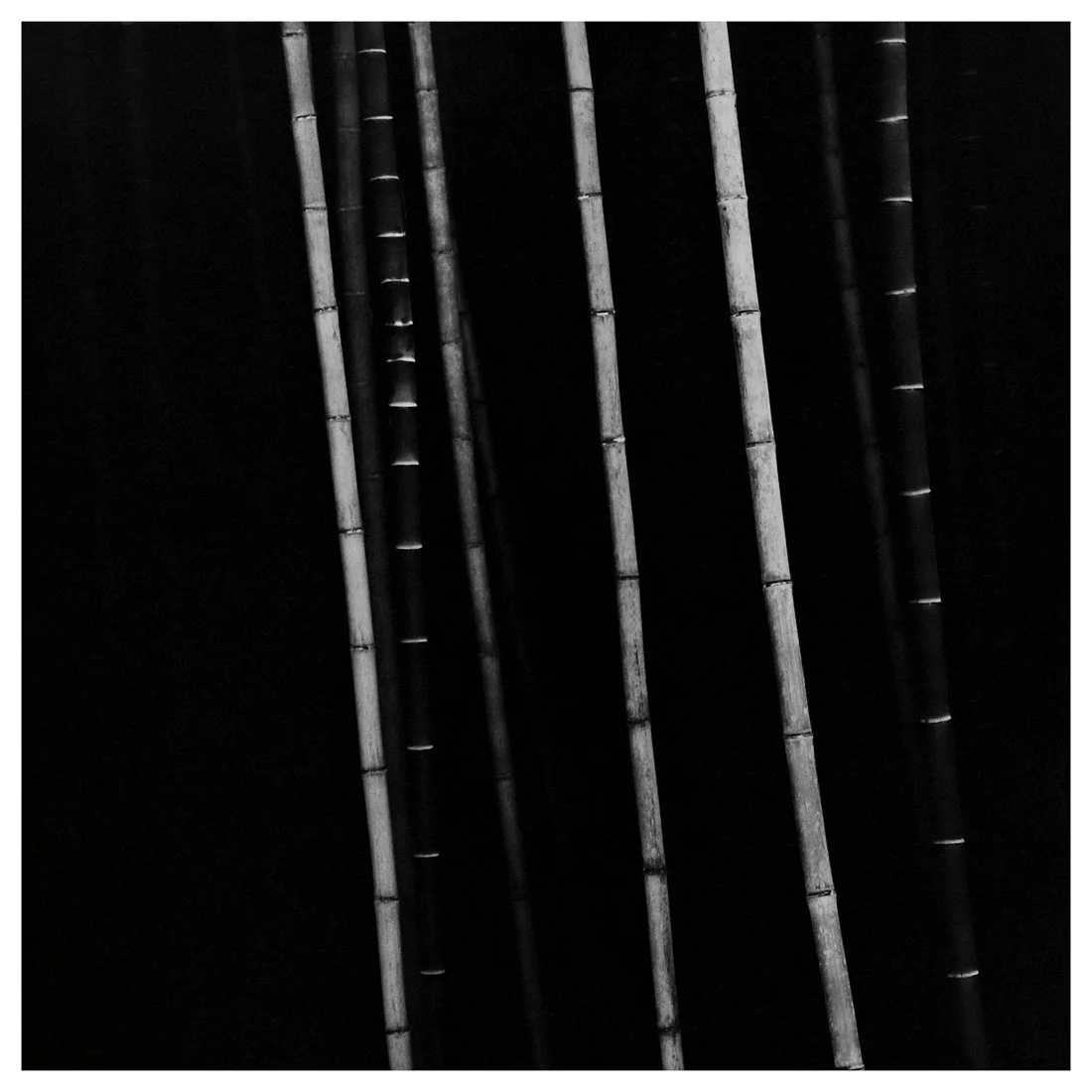 Bamboo Square #05, 2005 by Choi Byung-Kwan