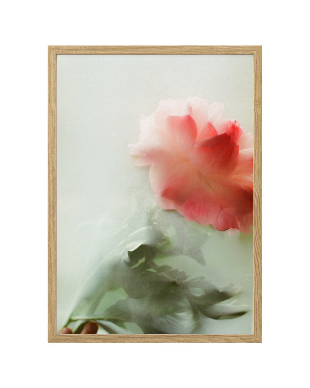 Annelie Bruijn Framed Contemporary Photograph