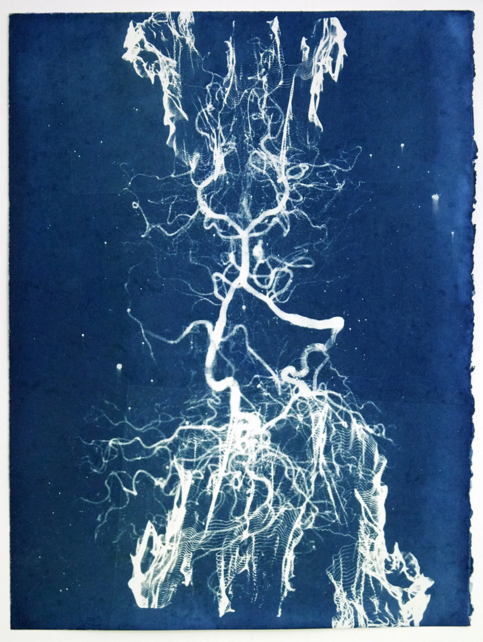 Decoherence 2, 2024 by Barnaby Irish