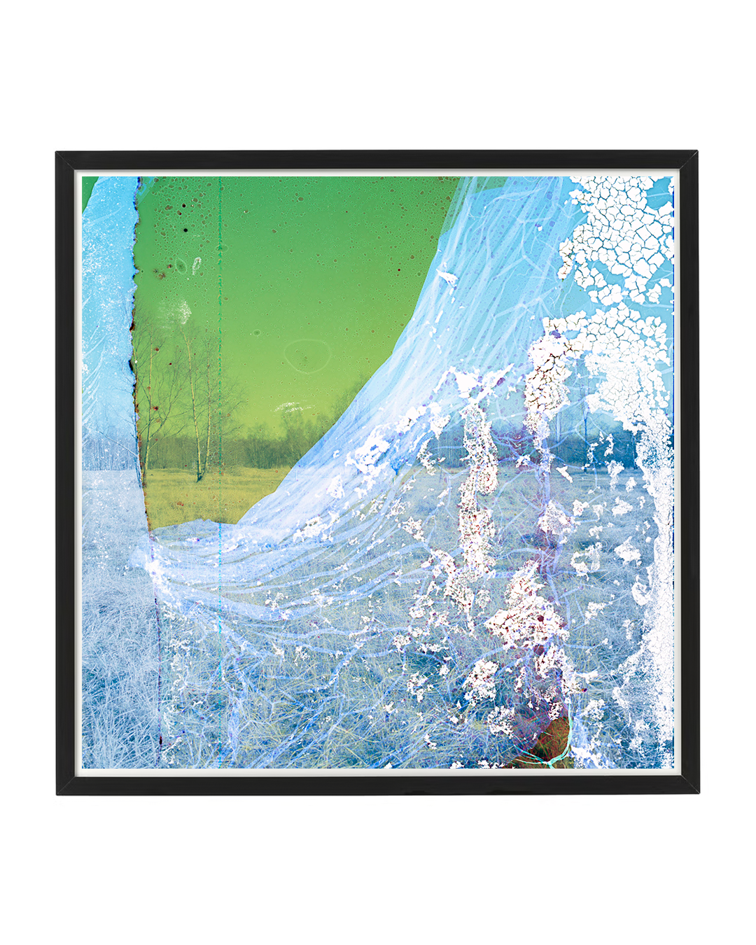 Naima Square_frame mock up.png