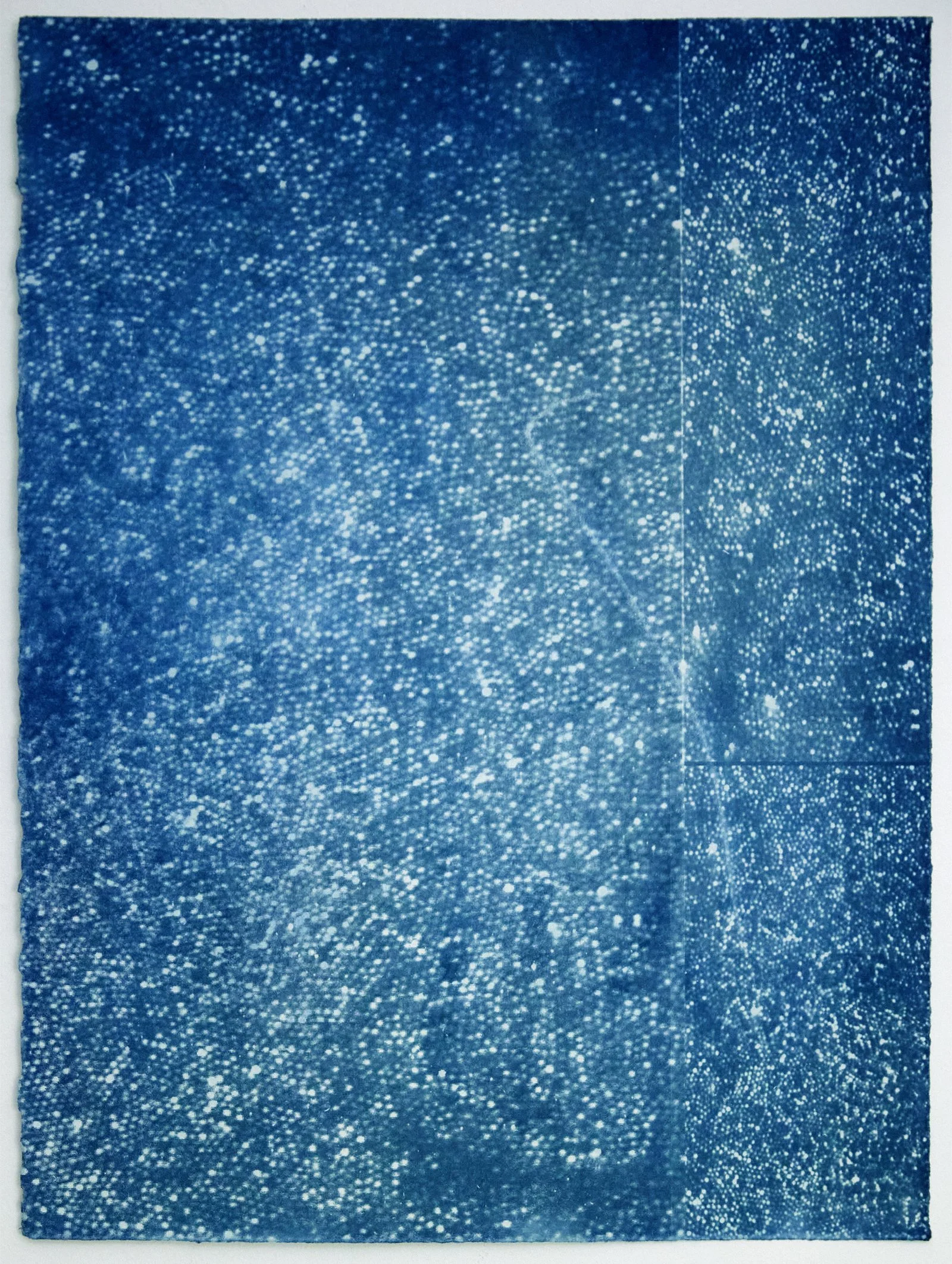 Optic Array 1, 2024 by Barnaby Irish