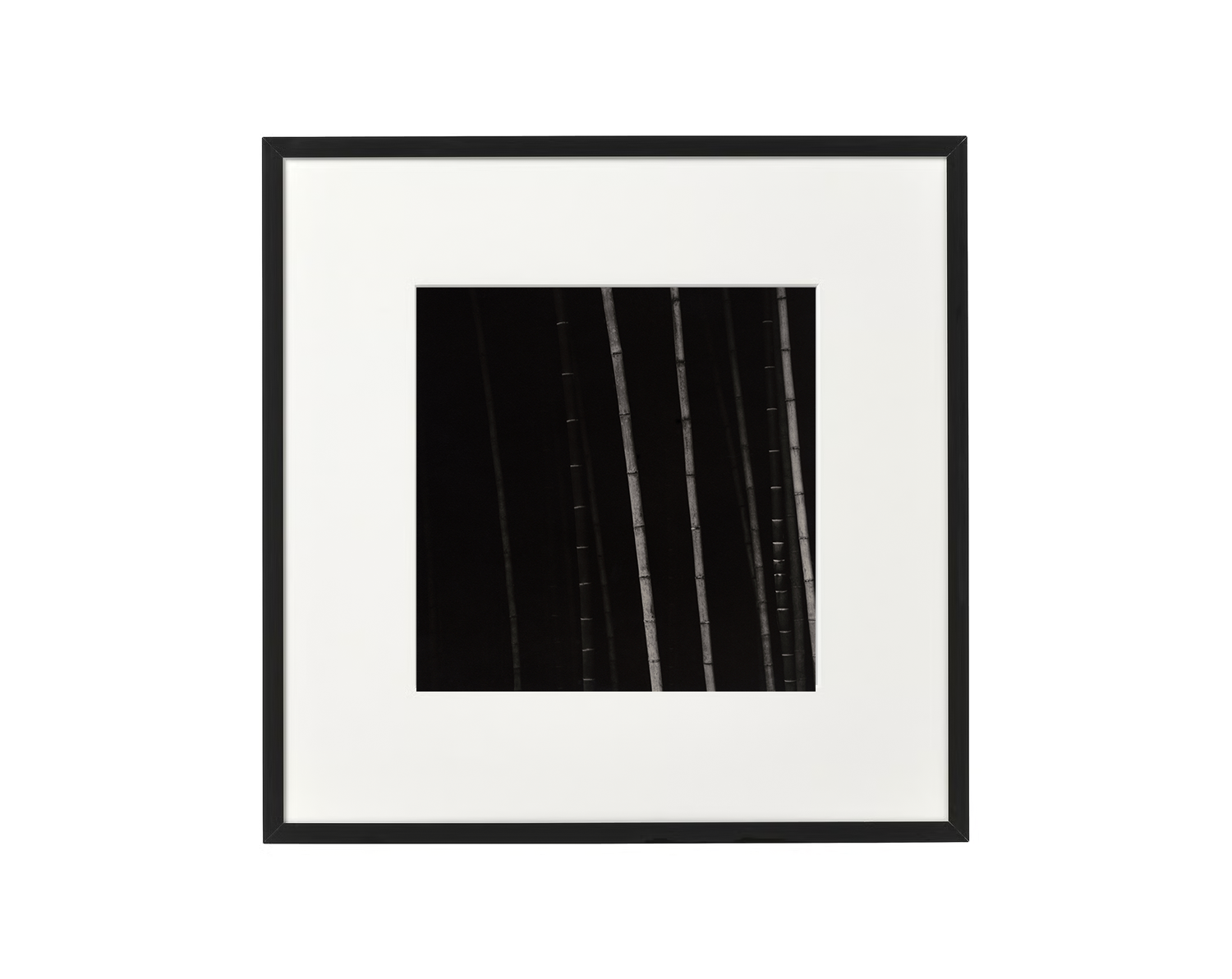 Choi Byung-Kwan framed Bamboo