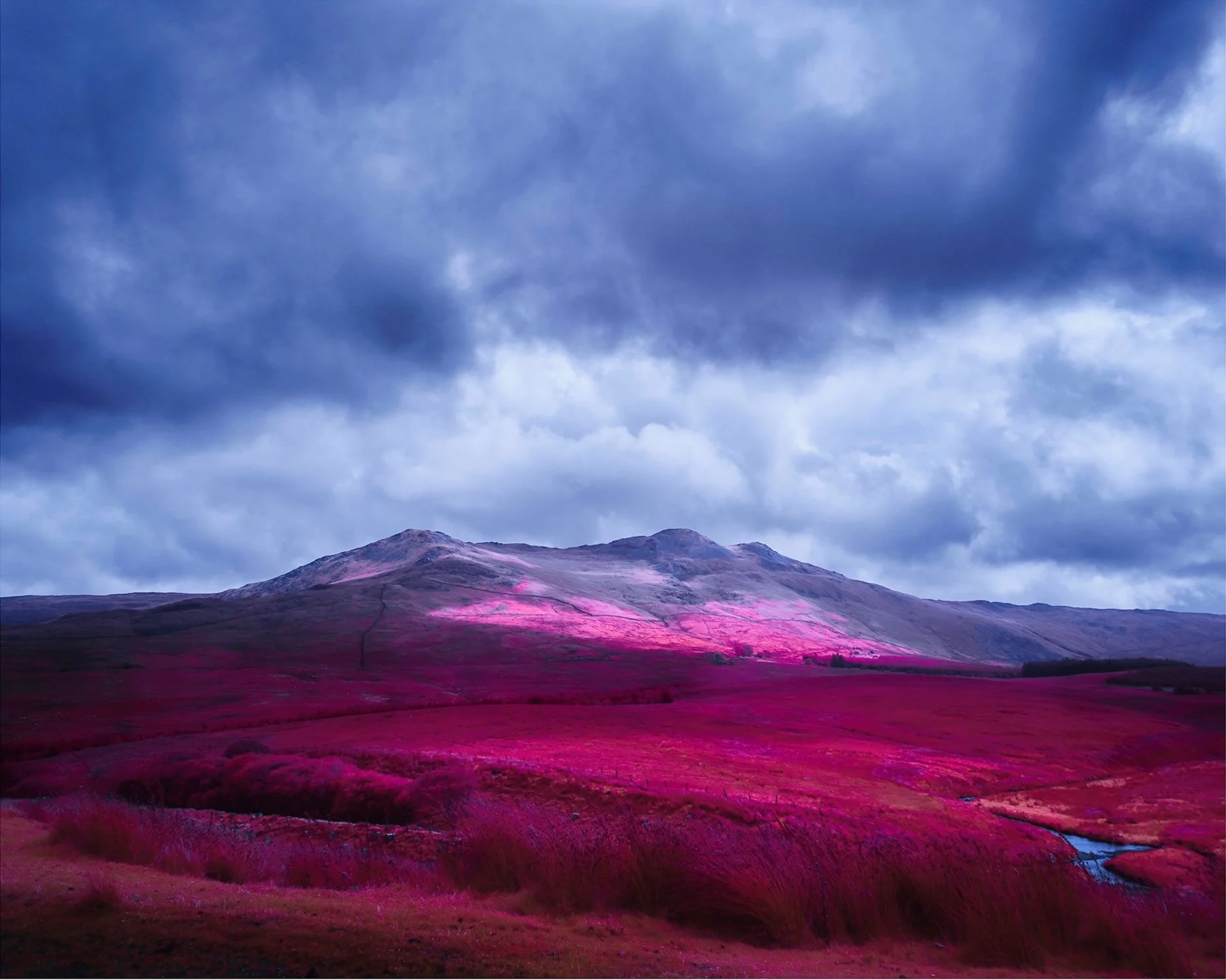 Arenig, 2021 by Matthew Murray