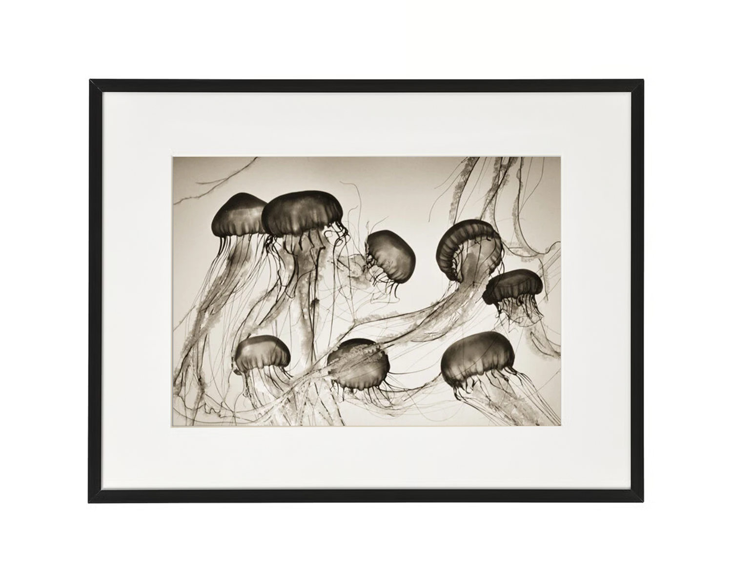 hh framed mockup 2.png